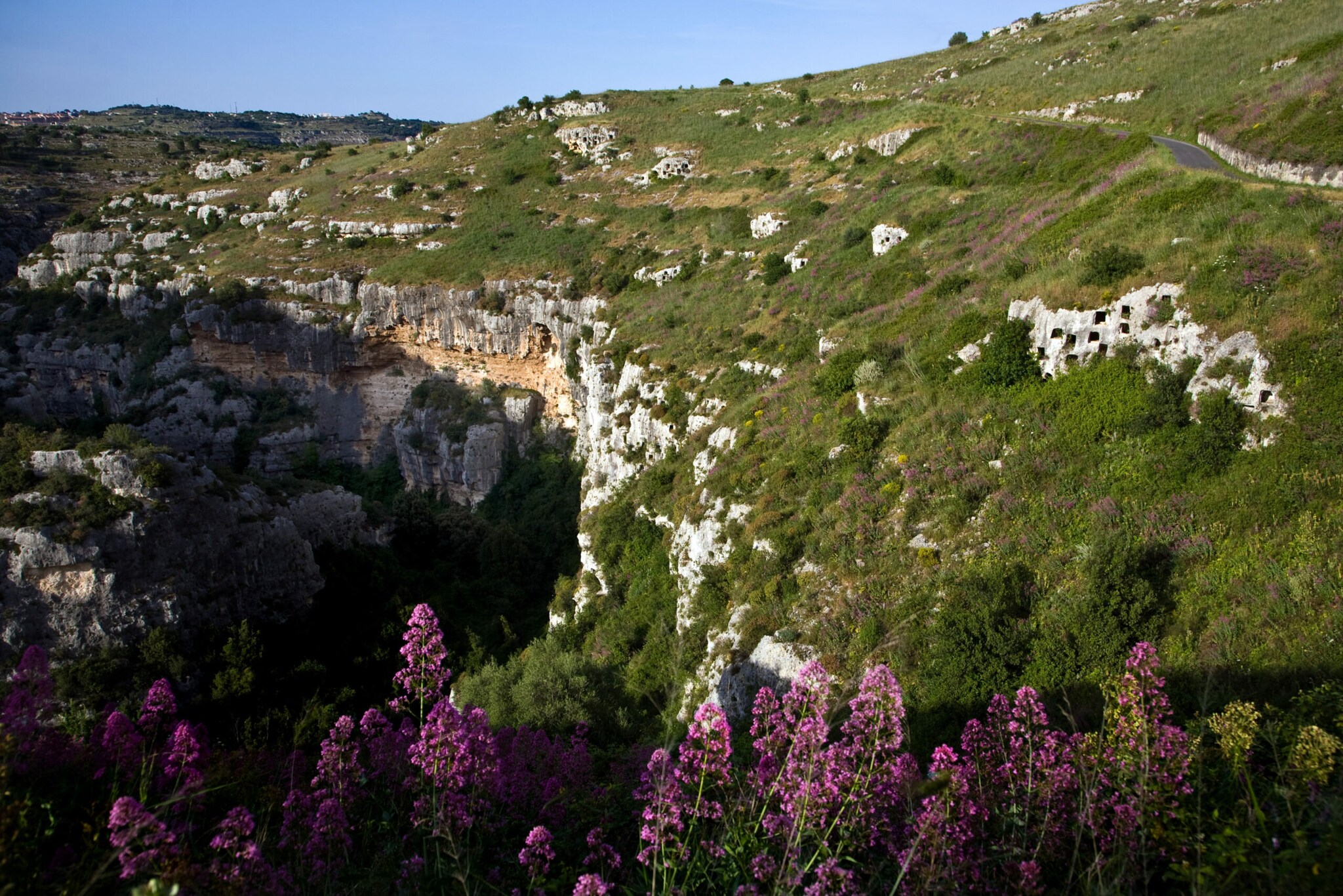 Blühende Berglandschaft mit Nekropolen in Felswänden.
