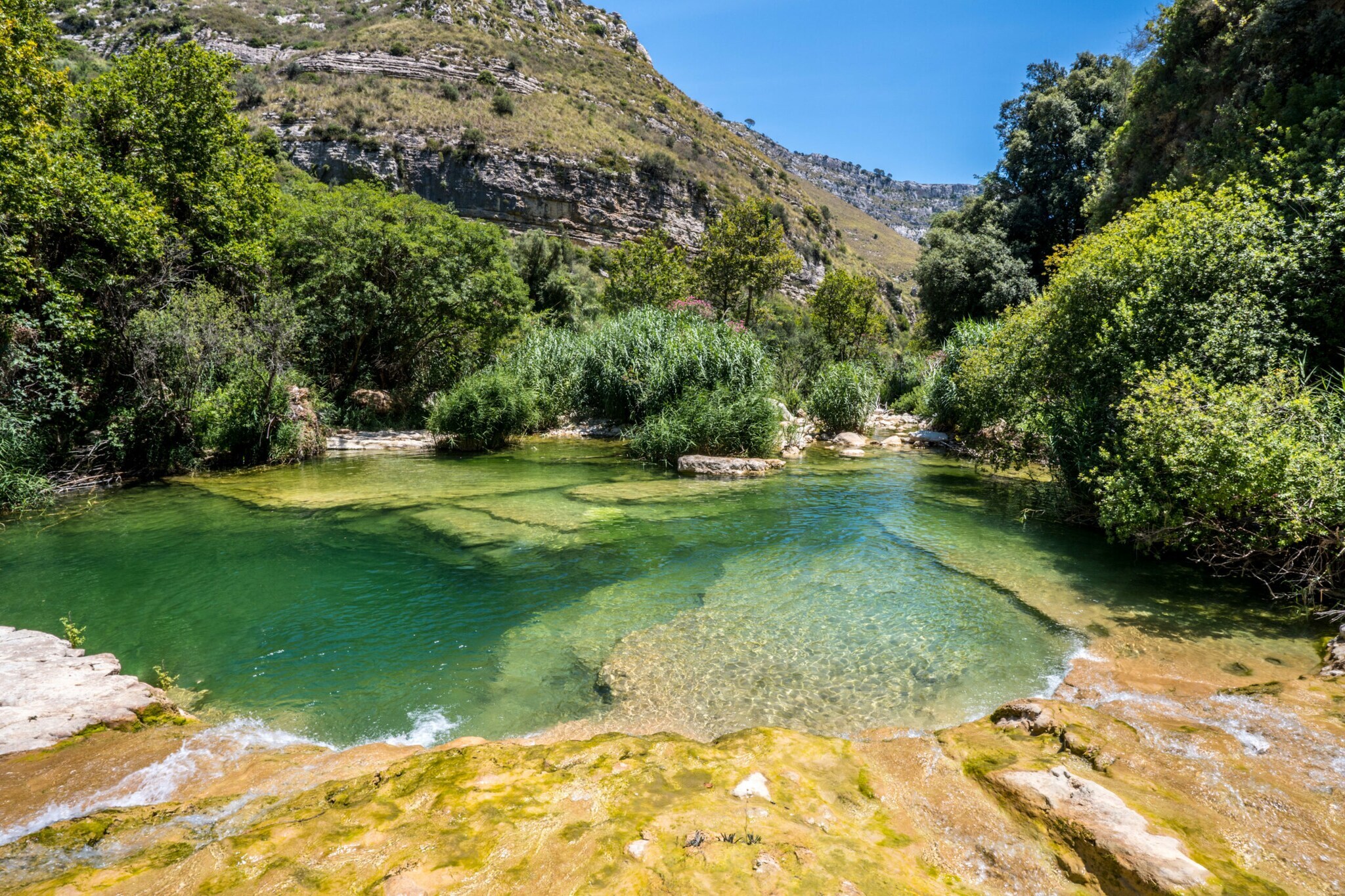 Idyllisches Wasserloch in Berglandschaft mit grüner Vegetation.