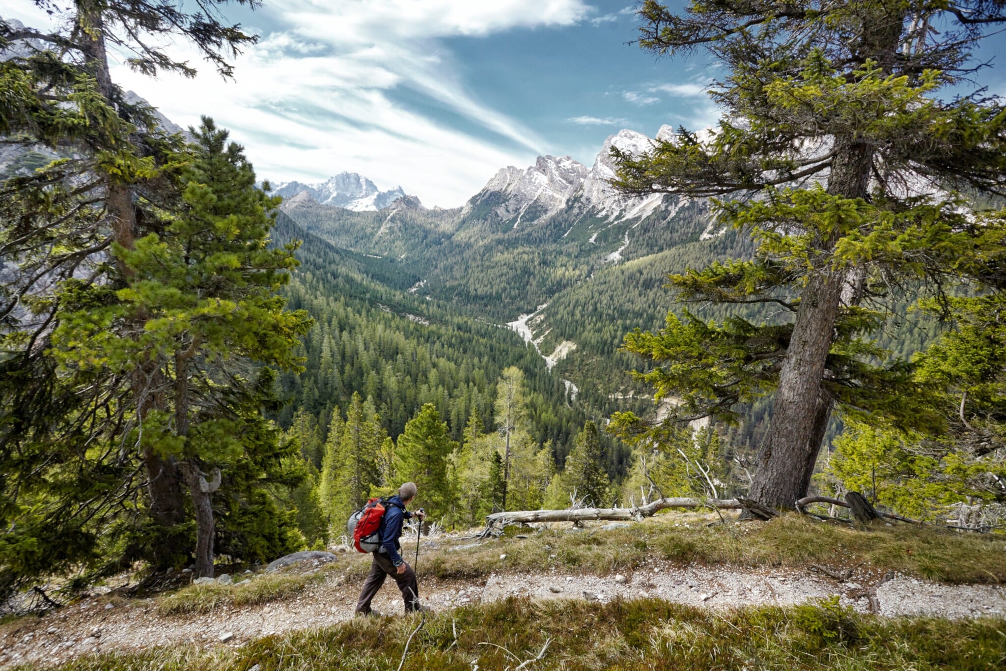 Eine Person in Wanderausrüstung auf einem bewaldeten Weg, im Hintergrund hohe Berge. Eine Person in Wanderausrüstung auf einem bewaldeten Weg, im Hintergrund hohe Berge.