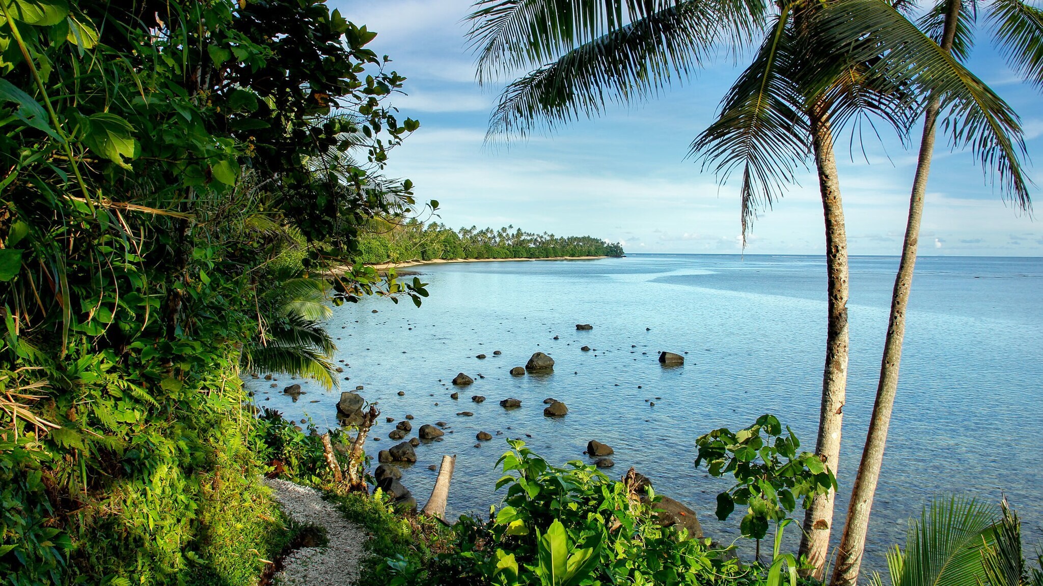 Blick vom Lavena Coastal Walk aufs Meer auf der Fidschi-insel Taveuni.