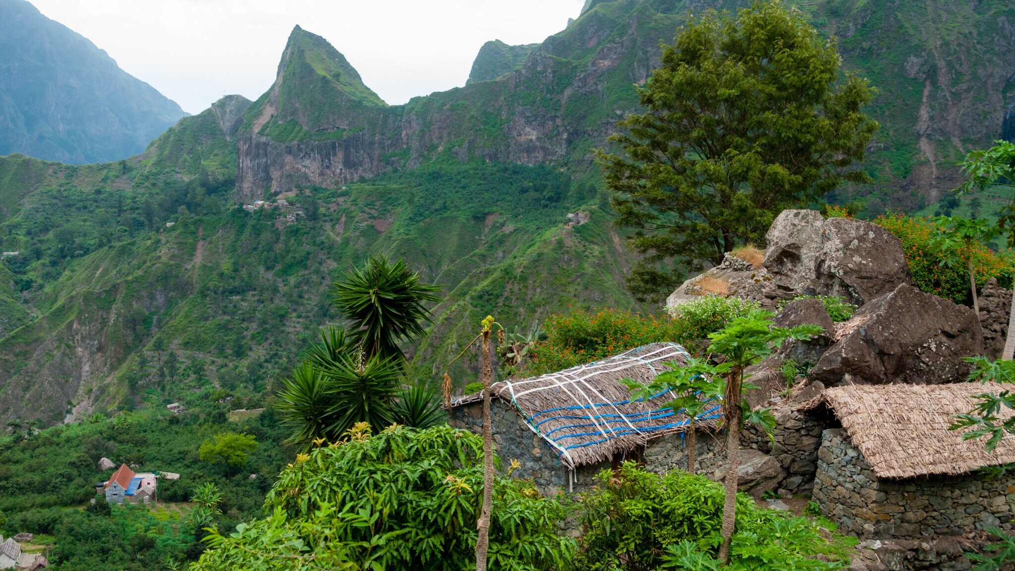 Grün bewachsene Felswand mit Vegetation und Häusern im Vordergrund. Grün bewachsene Felswand mit Vegetation und Häusern im Vordergrund.