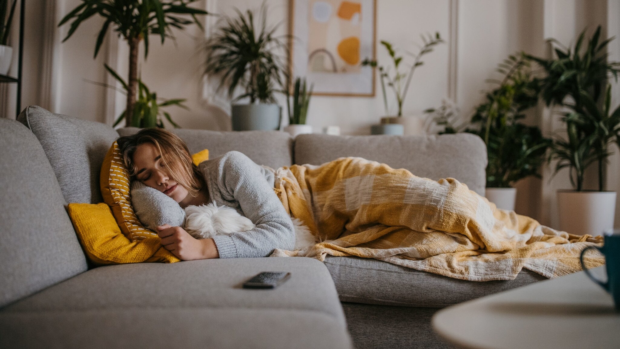 Eine Frau liegt schlafend mit einer Decke auf einer grauen Couch, im Arm hält sie einen Hund. Eine Frau liegt schlafend mit einer Decke auf einer grauen Couch, im Arm hält sie einen Hund.