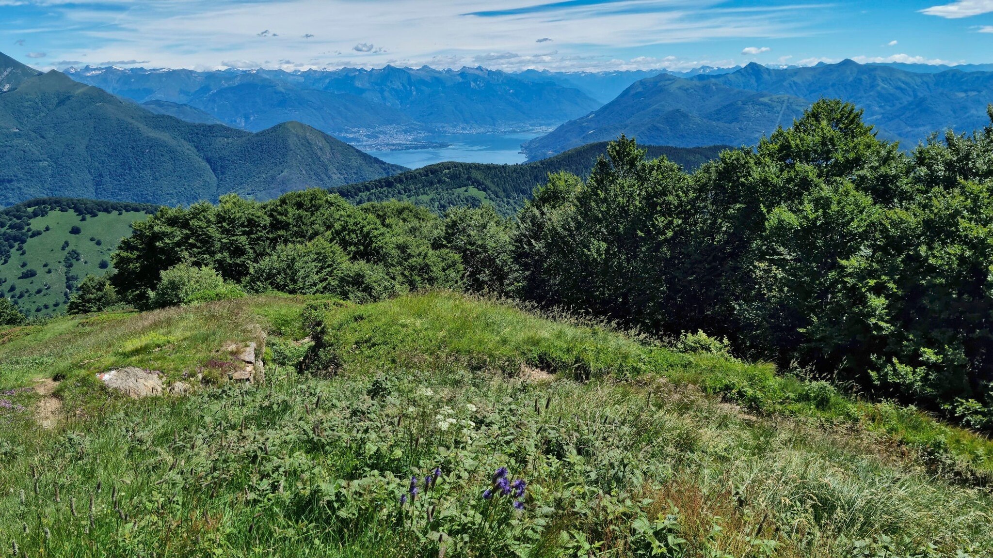 Grüne Landschaft mit Berggipfeln und dem Lago Maggiore im Hintergrund. Grüne Landschaft mit Berggipfeln und dem Lago Maggiore im Hintergrund.
