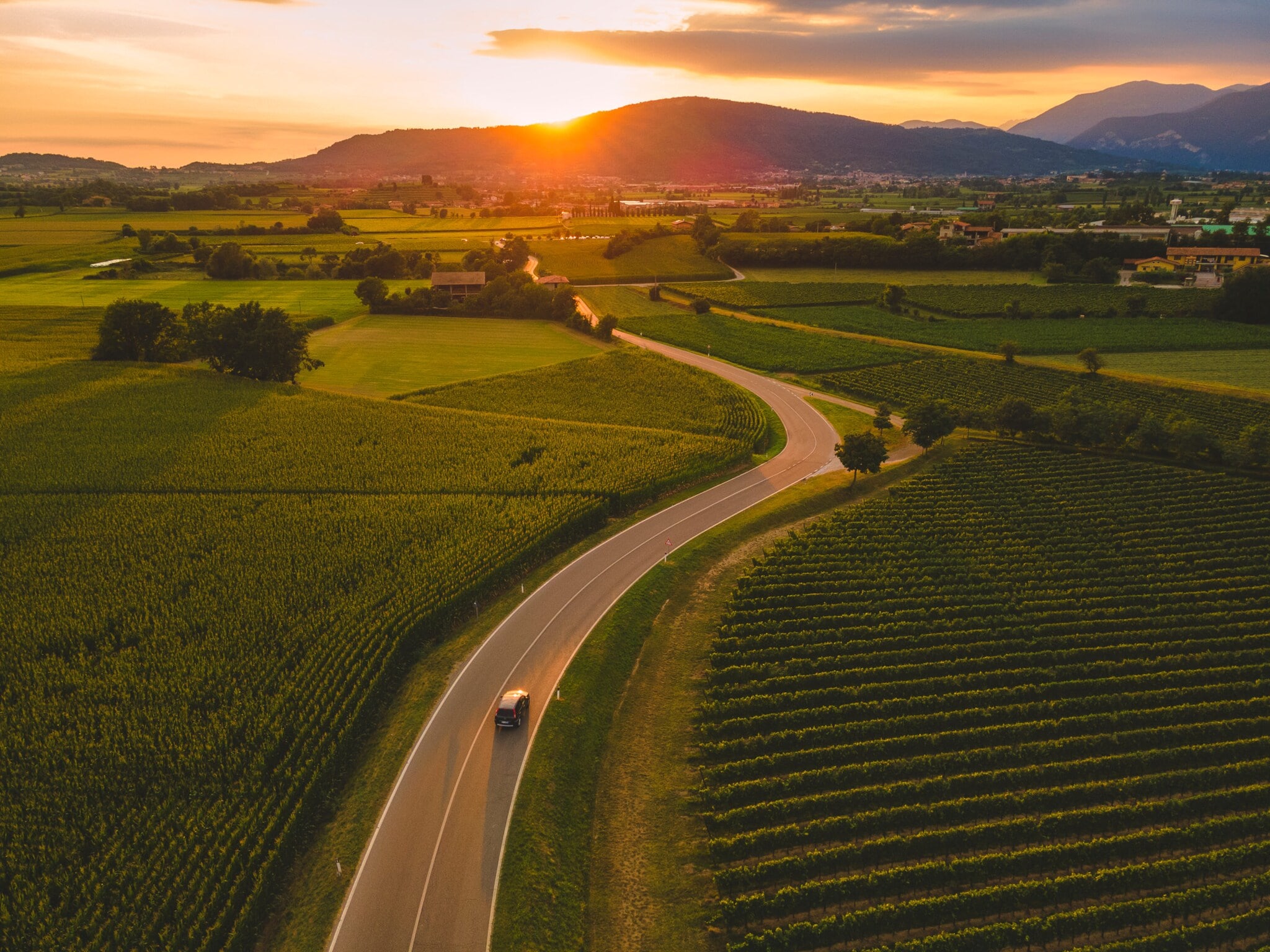 Ein Auto fährt auf einer Straße durch eine Landschaft mit grünen Weinbergen bei Sonnenuntergang. Ein Auto fährt auf einer Straße durch eine Landschaft mit grünen Weinbergen bei Sonnenuntergang.