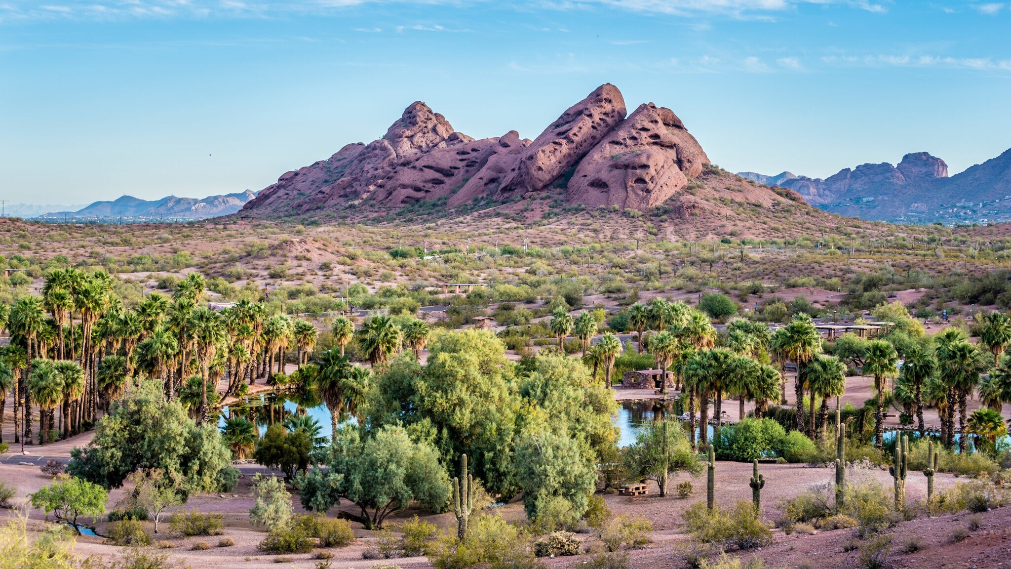 Parkanlage mit Palmen in Wüstenlandschaft mit Felsformationen im Hintergrund.