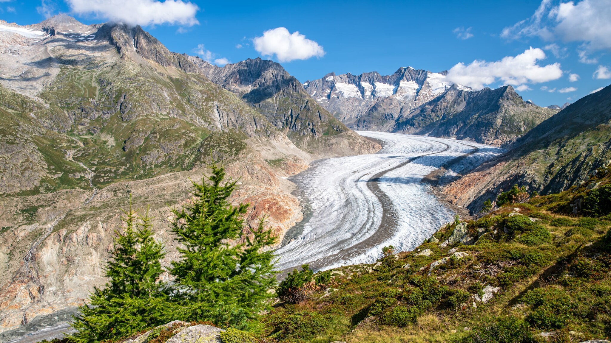 Aletschgletscher in der Schweiz.