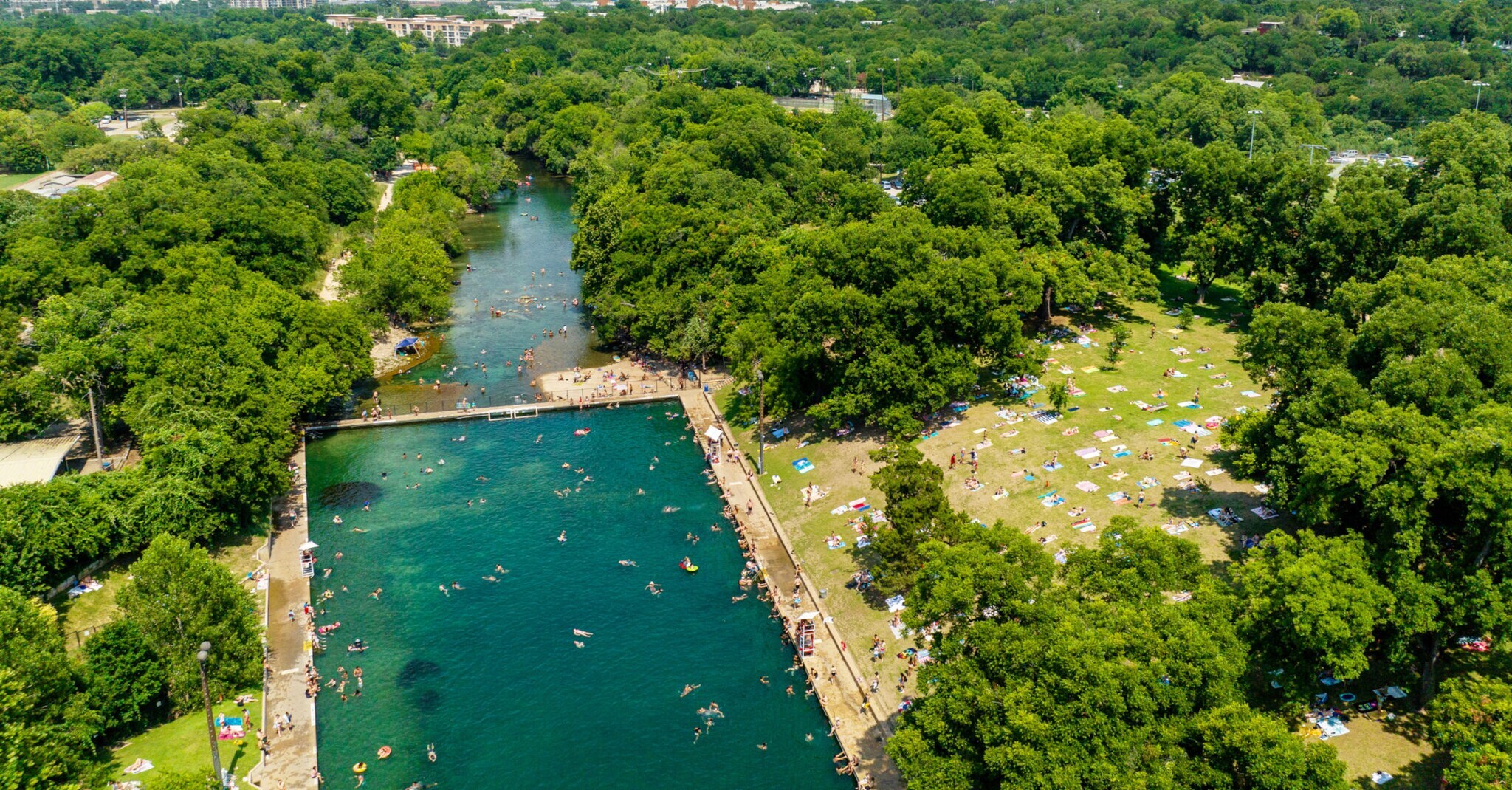 Personen beim Sonnenbaden in einem städtischen Waldgebiet mit Naturpool.