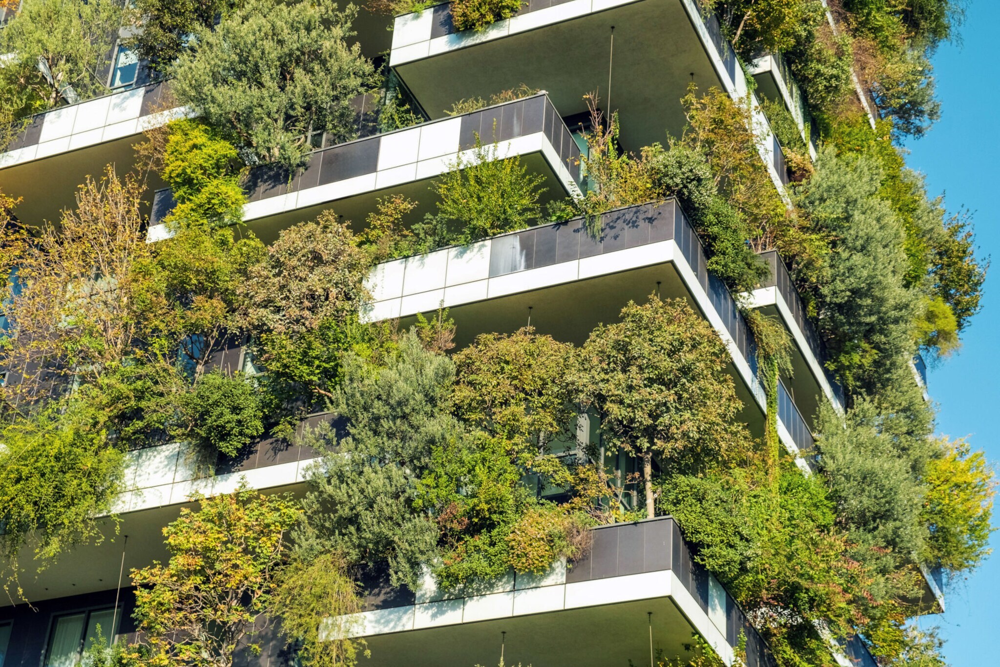 Außenansicht eines Wohnhauses mit vielen Bäumen auf Balkonen.