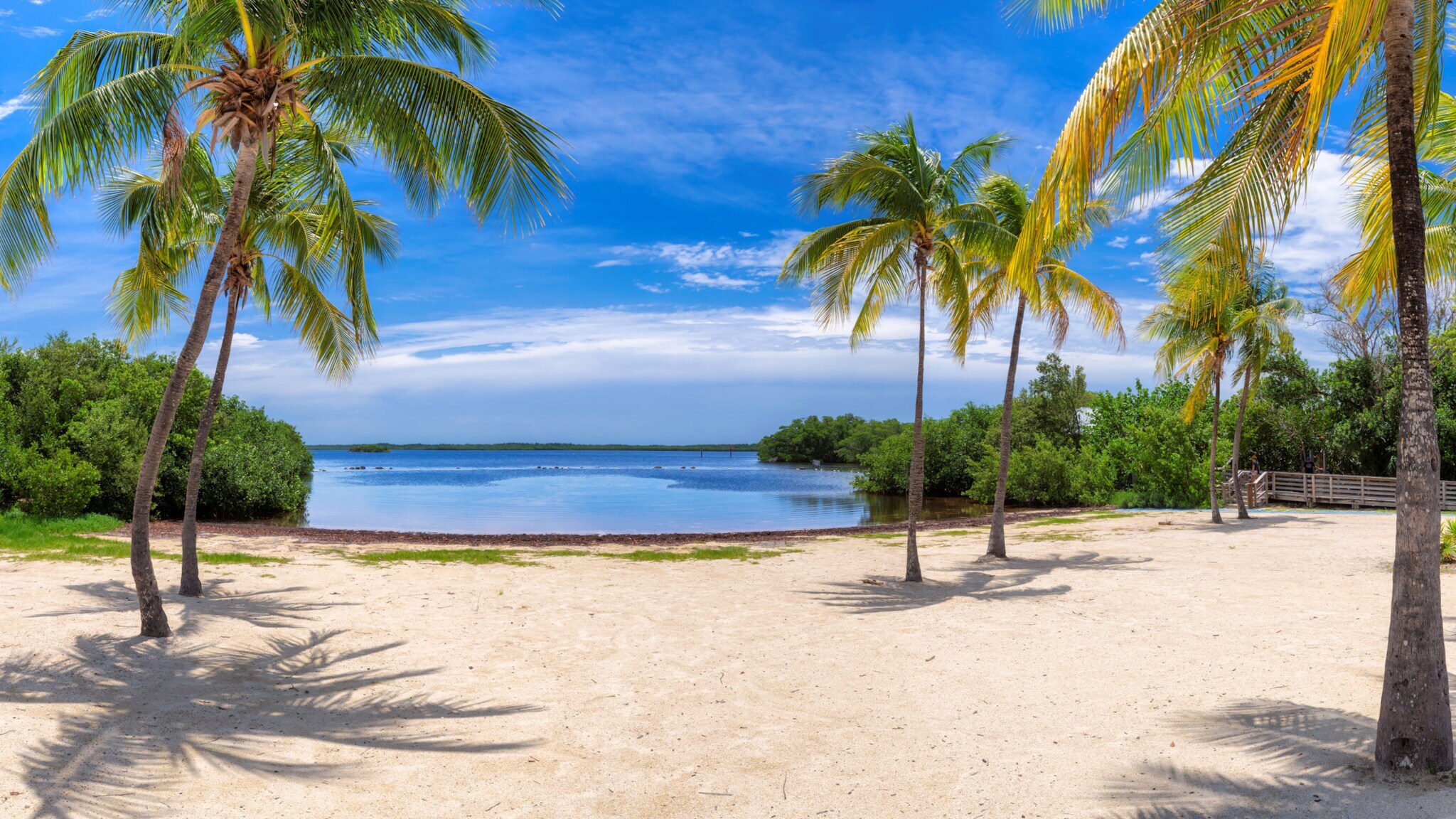 Weißer Sandstrand mit Palmen am türkisblauen Meer unter blauem Himmel.