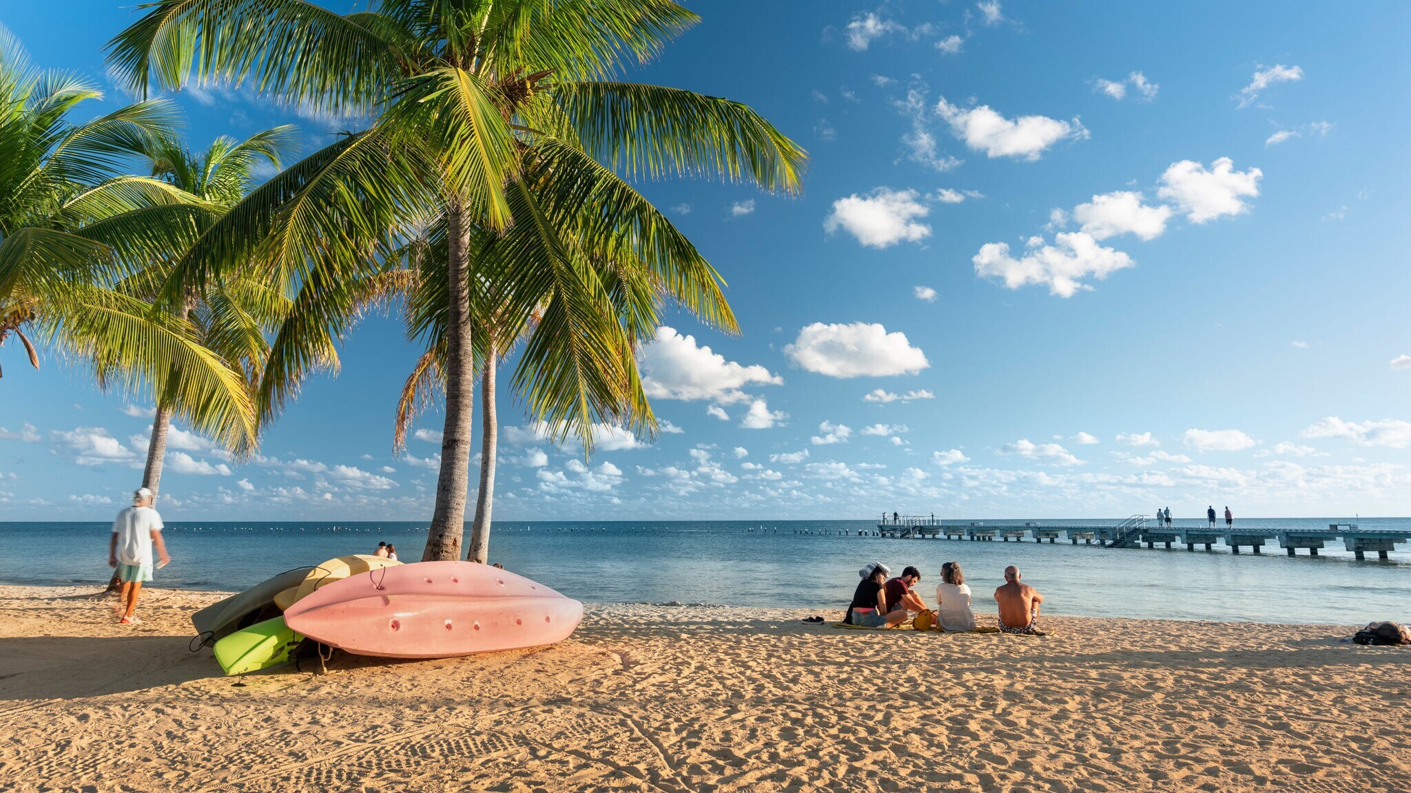 Mehrere Personen sitzen im warmen Sonnenlicht an einem Sandstrand mit drei Palmen und gestapelten Surfbrettern vor Meerespanorama mit einem Pier.