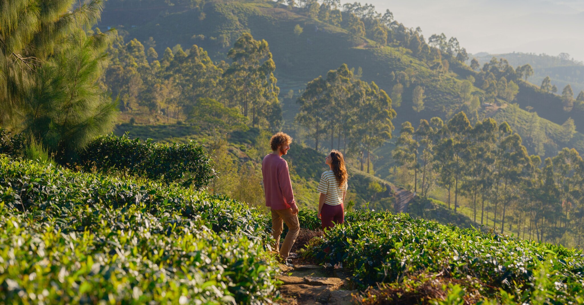 Ein Paar steht auf einer Teeplantage in einer Hügellandschaft.