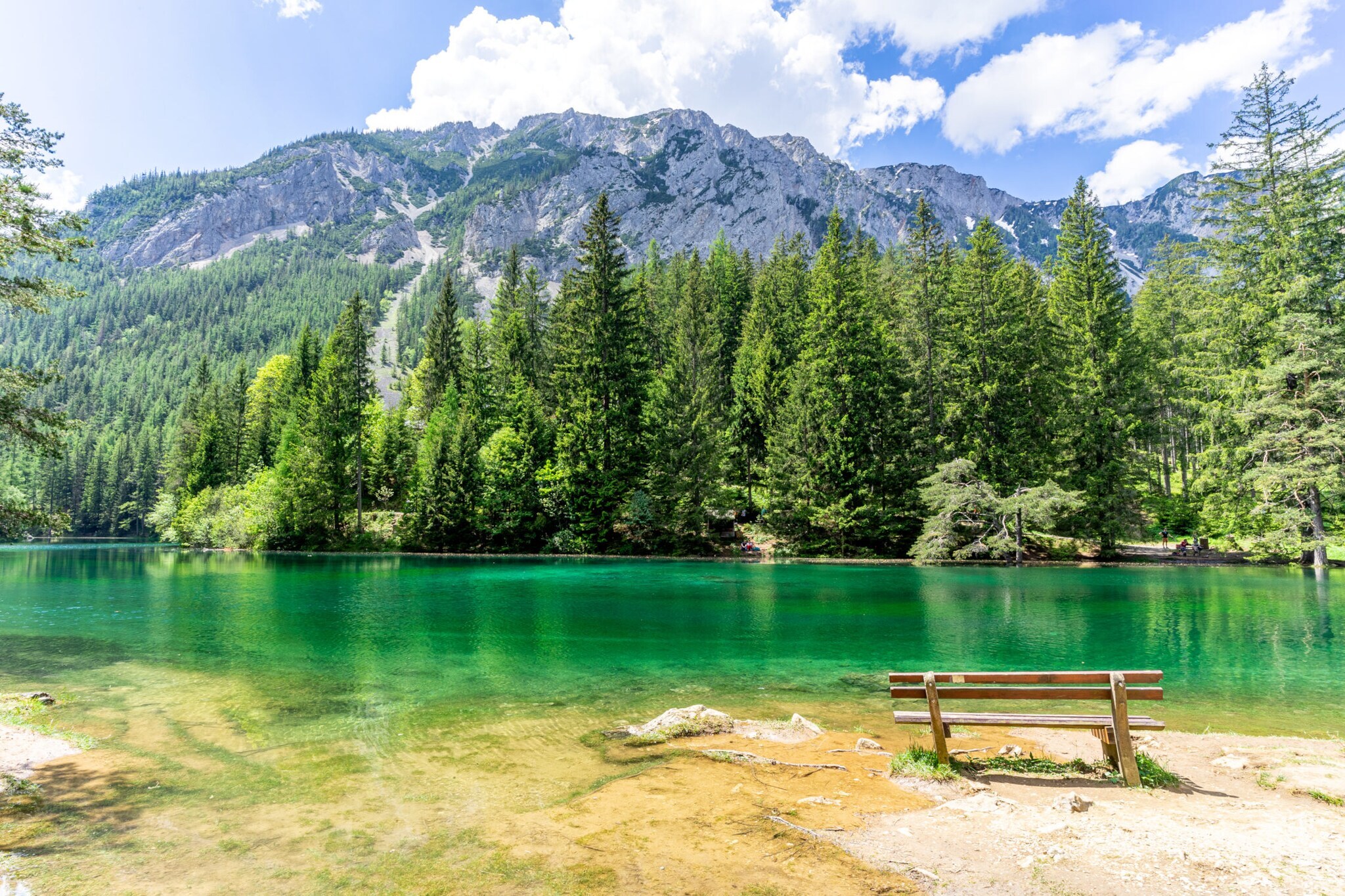 Eine Sitzbank vor einem grün schimmernden See, umgeben von Nadelwald in einer Bergregion.