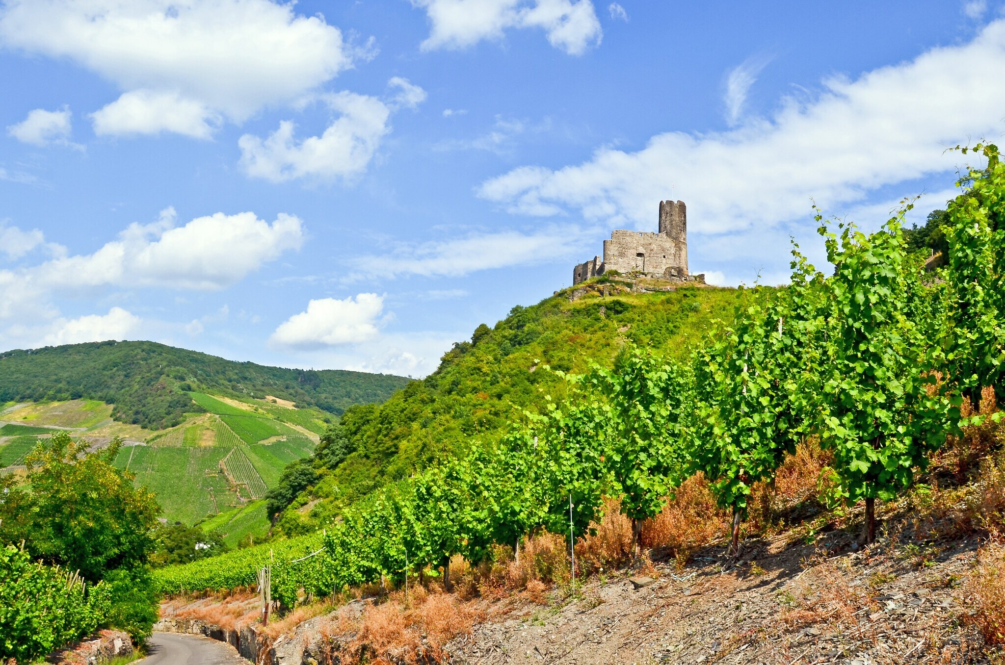 Blick auf einen Weinhang und die Burg Landshut, die oberhalb von Bernkastel-Kues thront.