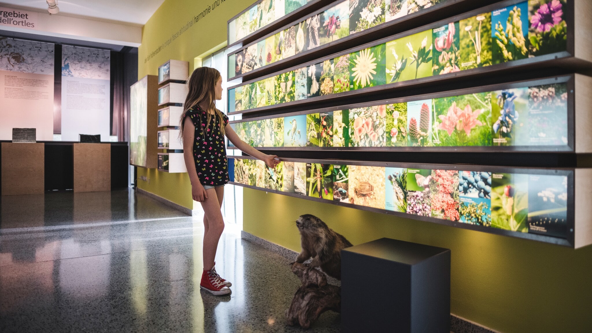 Ein Mädchen in Sommerkleidung steht vor Leuchtkästen mit Pflanzenmotiven in einem Museum. Ein Mädchen in Sommerkleidung steht vor Leuchtkästen mit Pflanzenmotiven in einem Museum.
