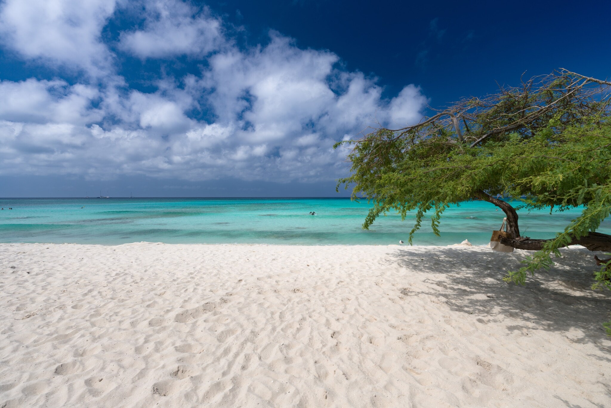 Weißer Sandstrand mit einem Baum vor türkisfarbenem Meer. Weißer Sandstrand mit einem Baum vor türkisfarbenem Meer.