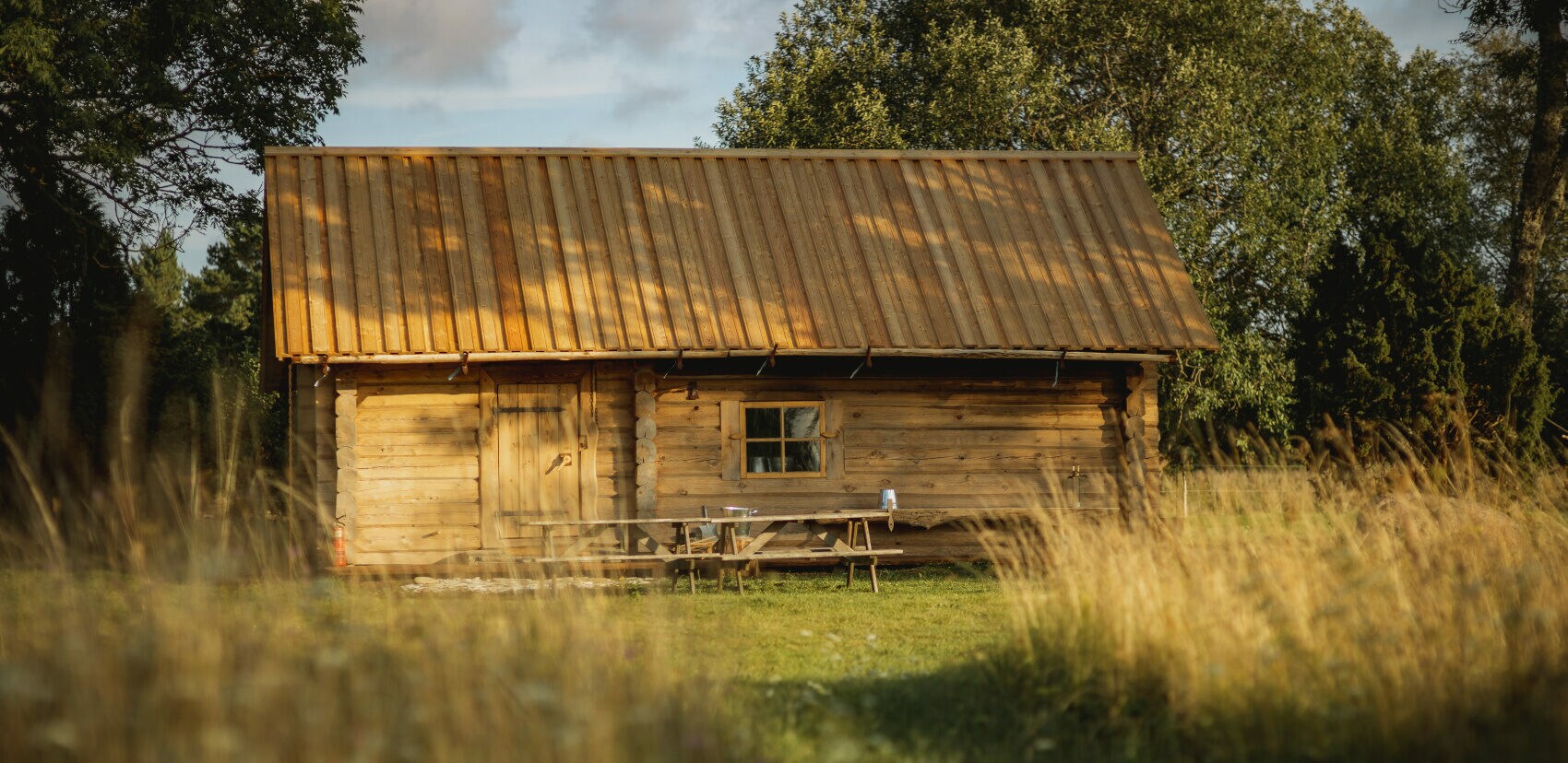 Eine von Schilf eingerahmte Holzsauna vor deren Fenster eine Bank steht. Eine von Schilf eingerahmte Holzsauna vor deren Fenster eine Bank steht.