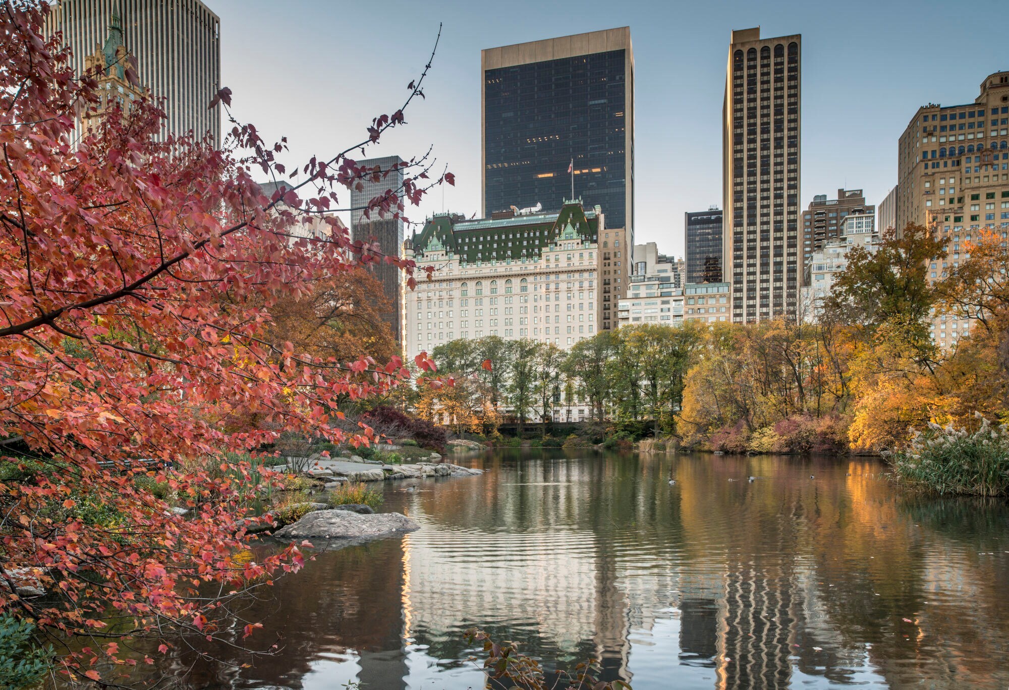 Blick von der Gaptow-Brücke des Central Parks im Herbst auf das Plaza Hotel, Bäume mit buntem Laub im Vordergrund.