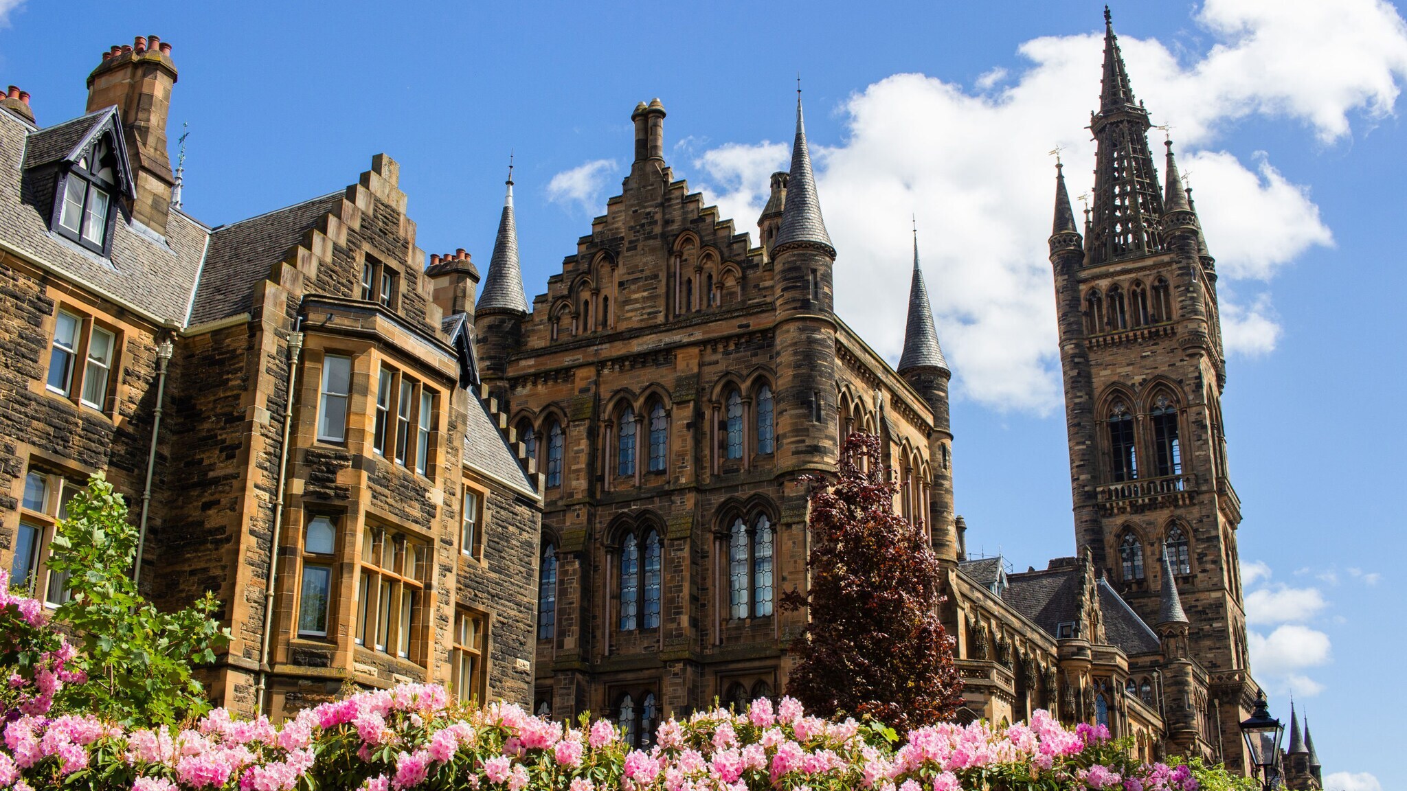 Viktorianische Häuserfassade mit pinkfarbenen Blumen im Vordergrund.