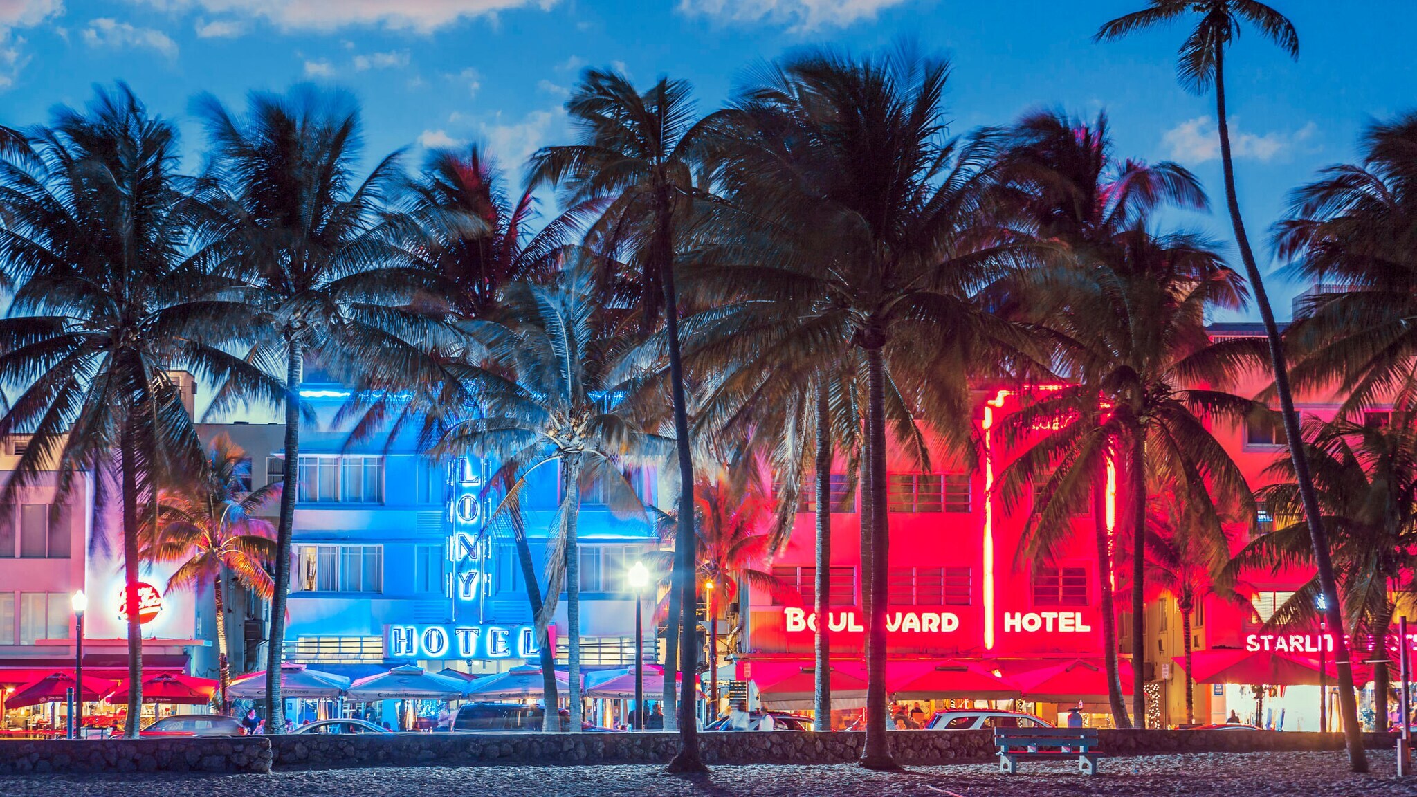 Bunt beleuchtete Häuserfronten am Ocean Drive in Miami mit Palmen im Vordergrund