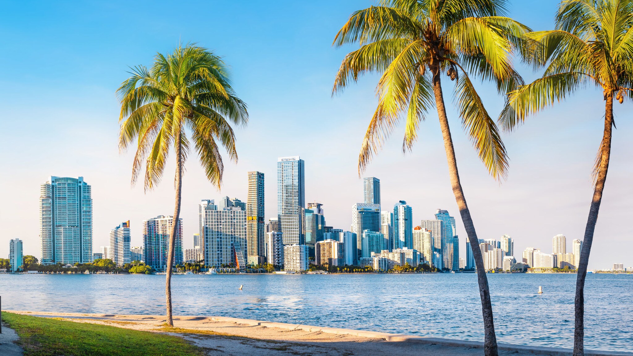 Blick auf die Skyline von Miami mit Wasser und Palmen am Strand im Vordergrund Blick auf die Skyline von Miami mit Wasser und Palmen am Strand im Vordergrund