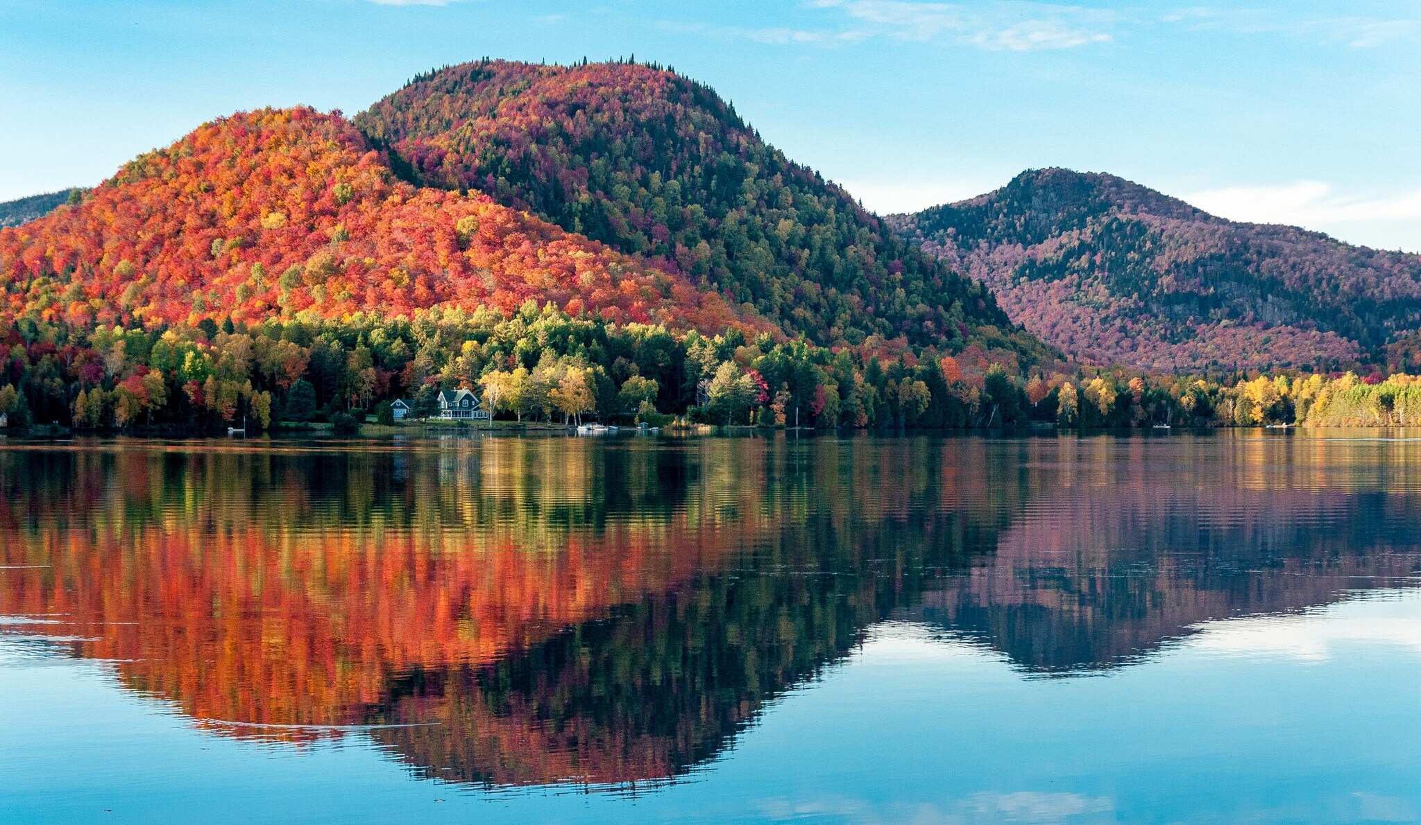 Herbstliche Waldlandschaft auf Hügeln an einem See.
