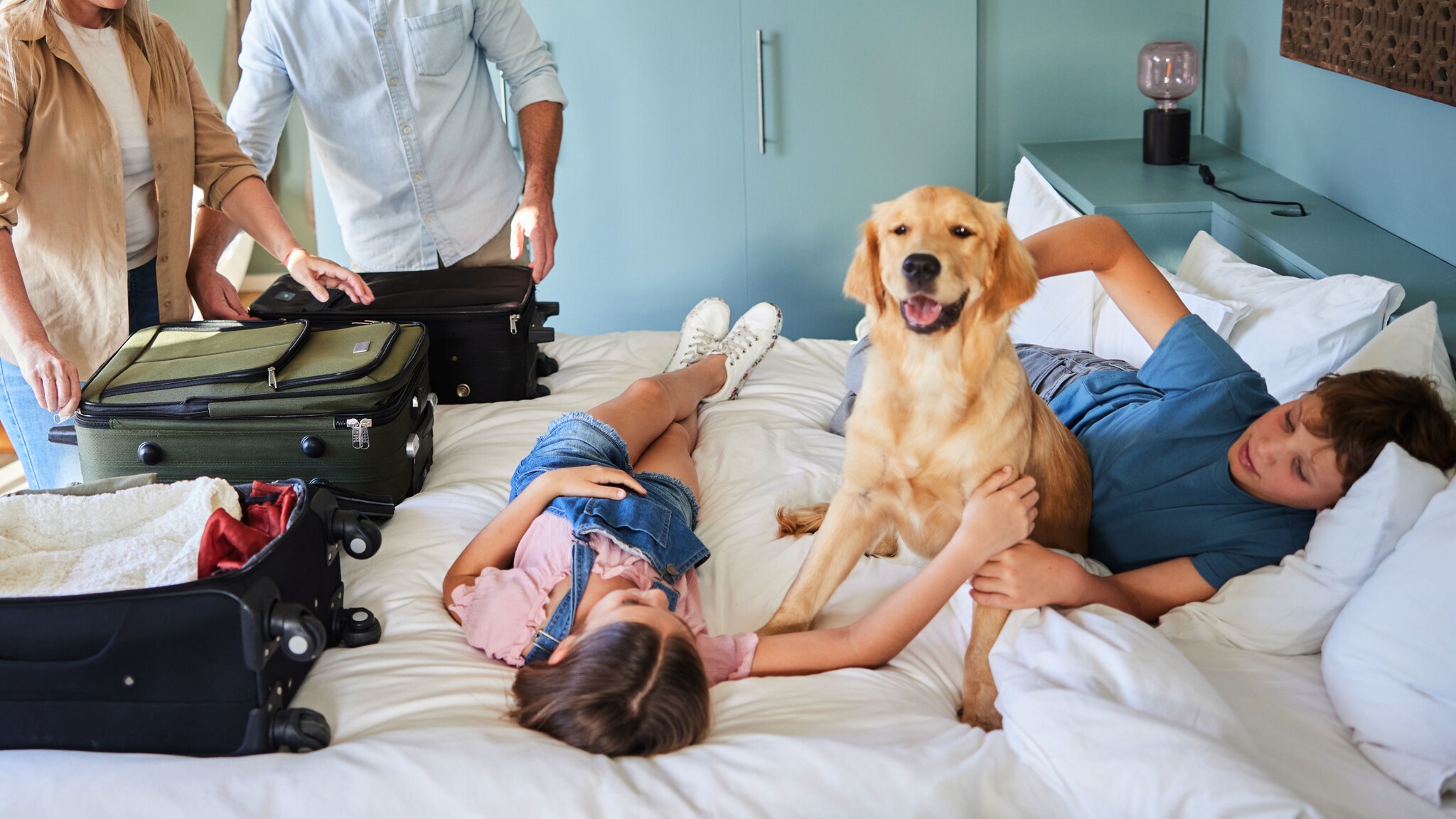 Zwei Kinder liegen mit einem Golden Retriever auf einem Hotelbett, daneben packen zwei Personen Koffer.
