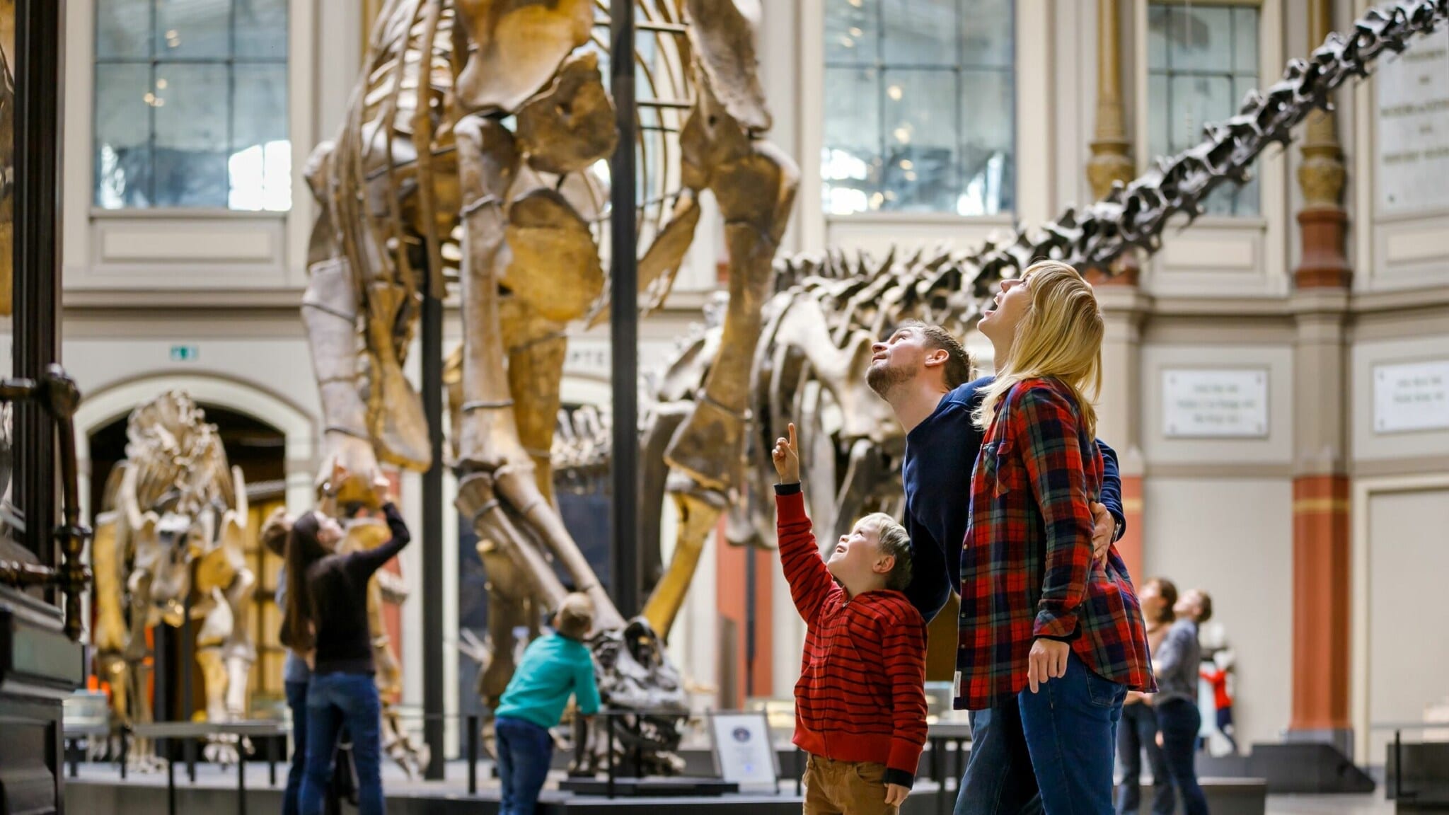 Familie mit zwei Kindern betrachtet Dinosaurierskelette in einem Museum mit hohen Fenstern und Säulen. Familie mit zwei Kindern betrachtet Dinosaurierskelette in einem Museum mit hohen Fenstern und Säulen.