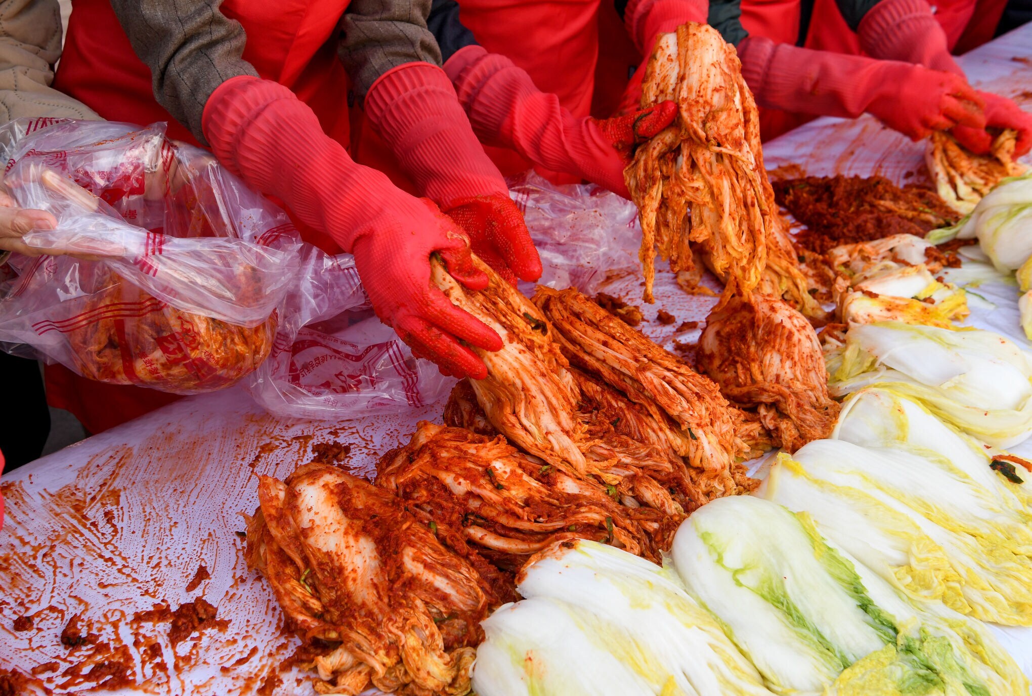 Mehrere Hände in roten Gummihandschuhen massieren eine rote Gewürzpaste in frische Kohlköpfe auf einem Tisch.