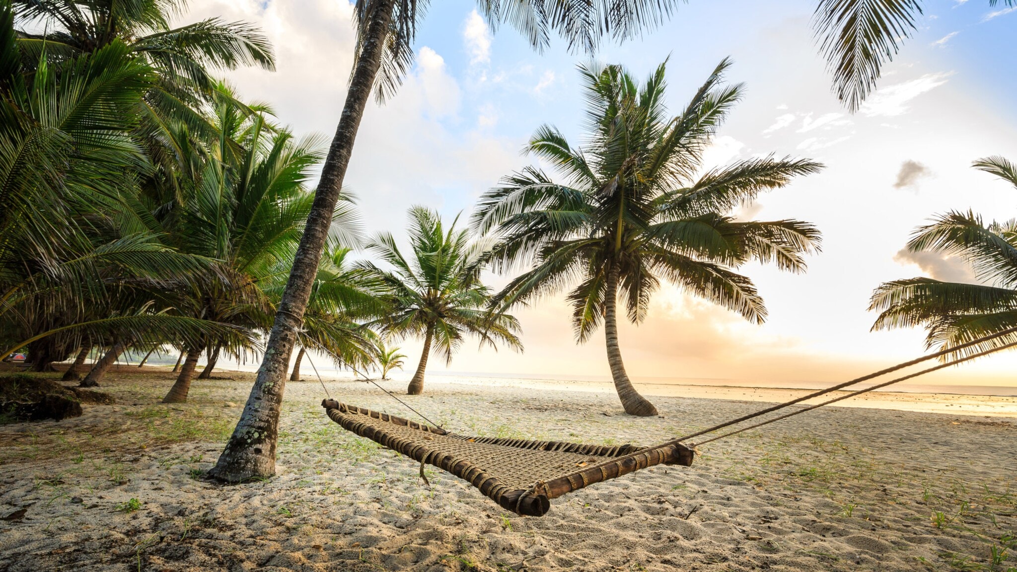 Hängematte aus Seilen zwischen Palmen an einem Sandstrand bei Sonnenaufgang Hängematte aus Seilen zwischen Palmen an einem Sandstrand bei Sonnenaufgang