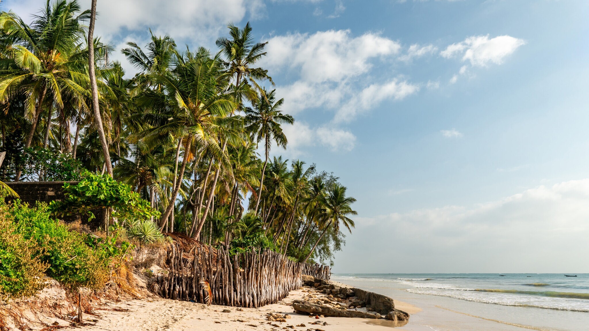 Sandstrand mit Palmen und einem Zaun aus Holzpfählen unter blauem Himmel mit Wolken