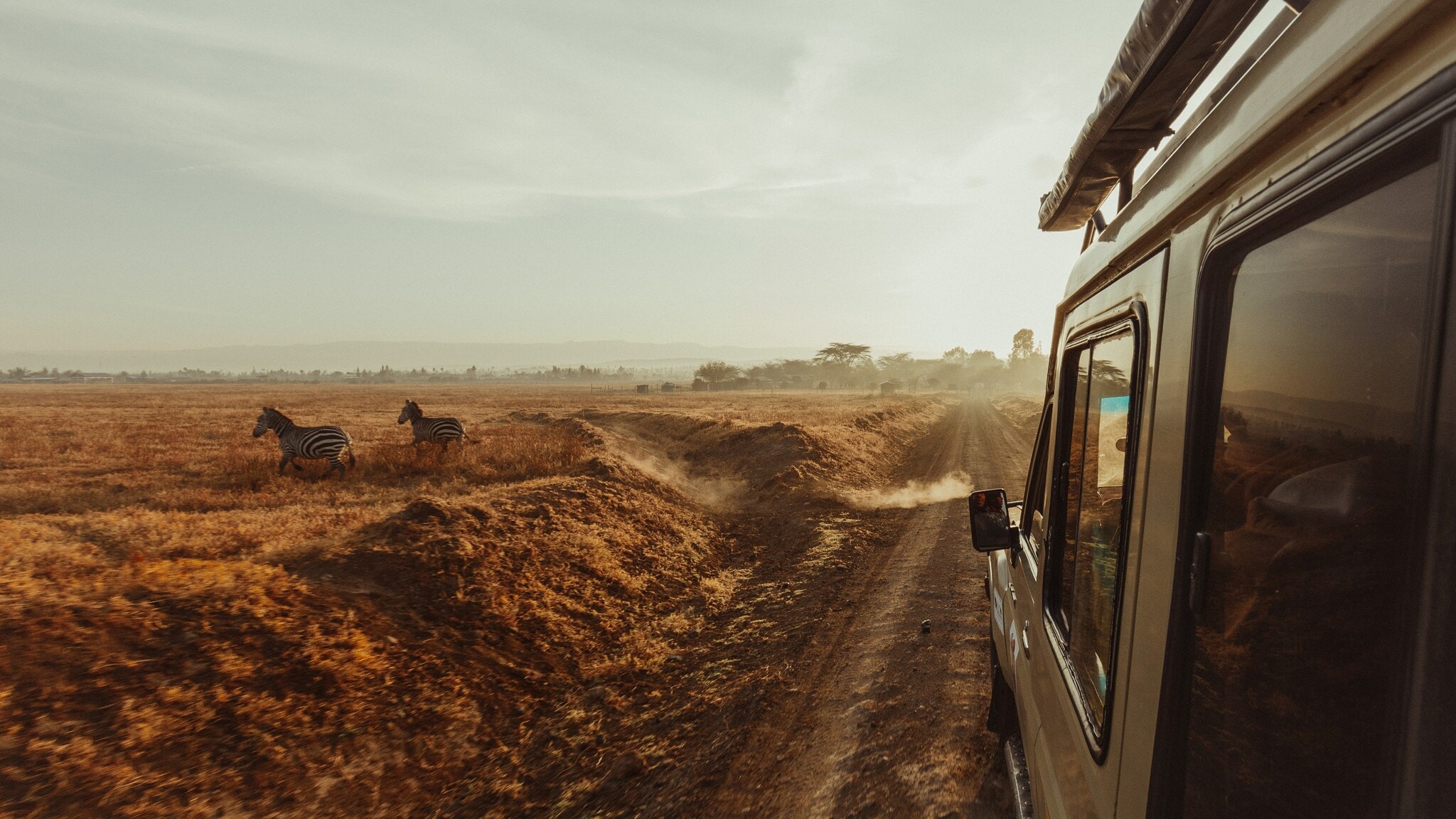 Safari-Fahrzeug fährt auf staubiger Piste durch afrikanische Savanne mit Zebras am Rand Safari-Fahrzeug fährt auf staubiger Piste durch afrikanische Savanne mit Zebras am Rand