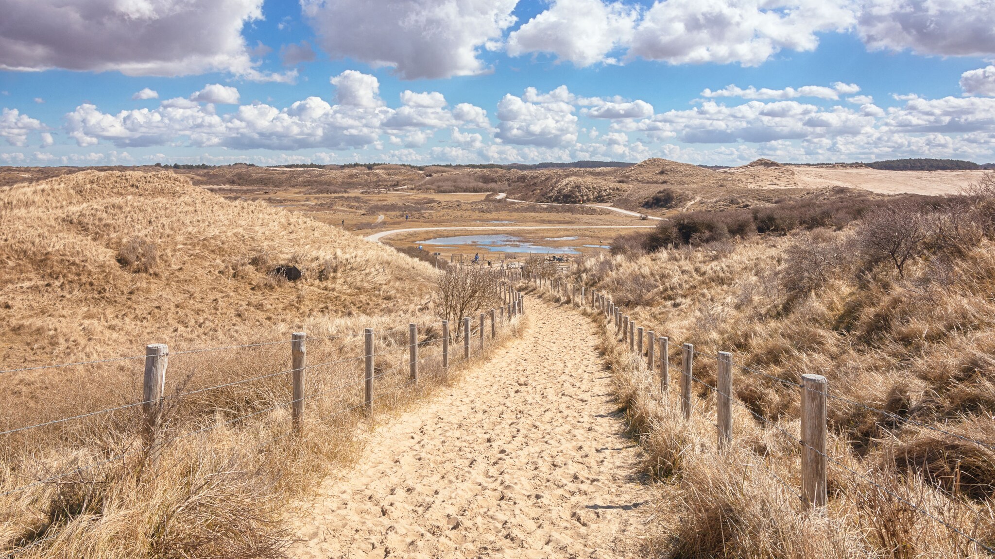 Sandweg zwischen trockenen Dünen mit Holzzäunen unter bewölktem Himmel.