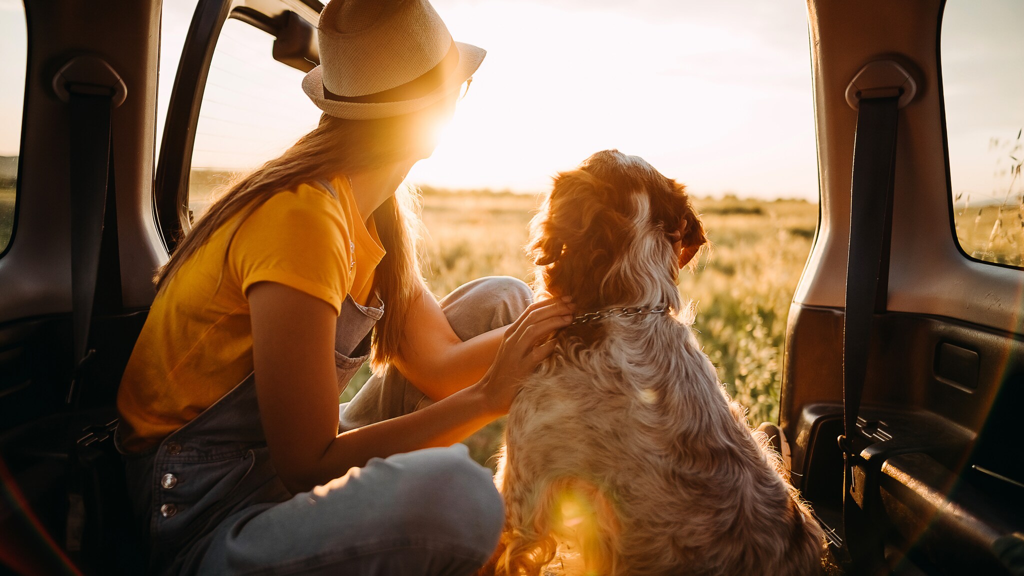 Frau mit Hut und Hund sitzen im geöffneten Kofferraum eines Autos und schauen auf ein sonniges Feld.