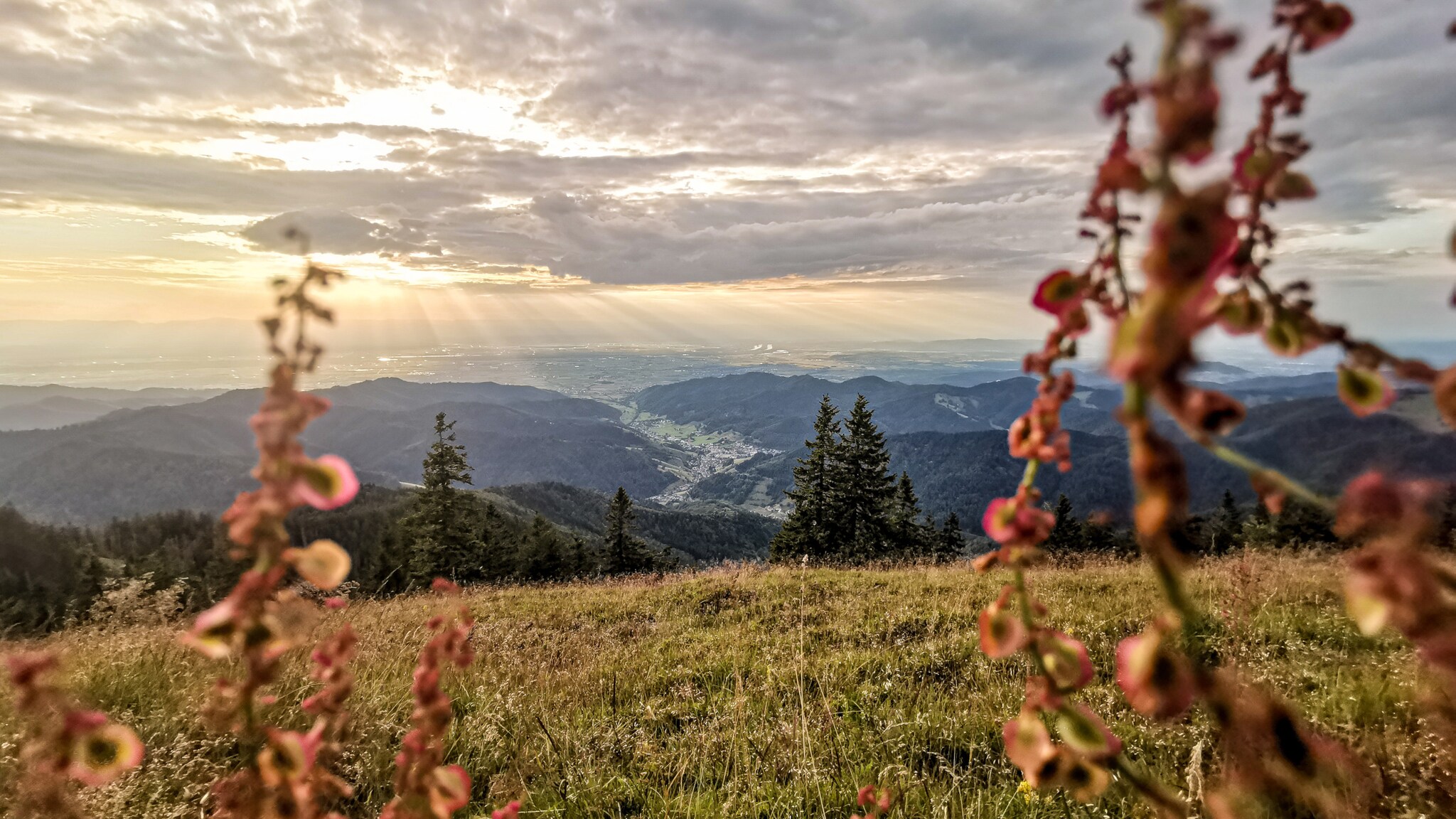 Berglandschaft mit Tal, bewölktem Himmel und Sonnenstrahlen, im Vordergrund unscharfe rote Blüten.