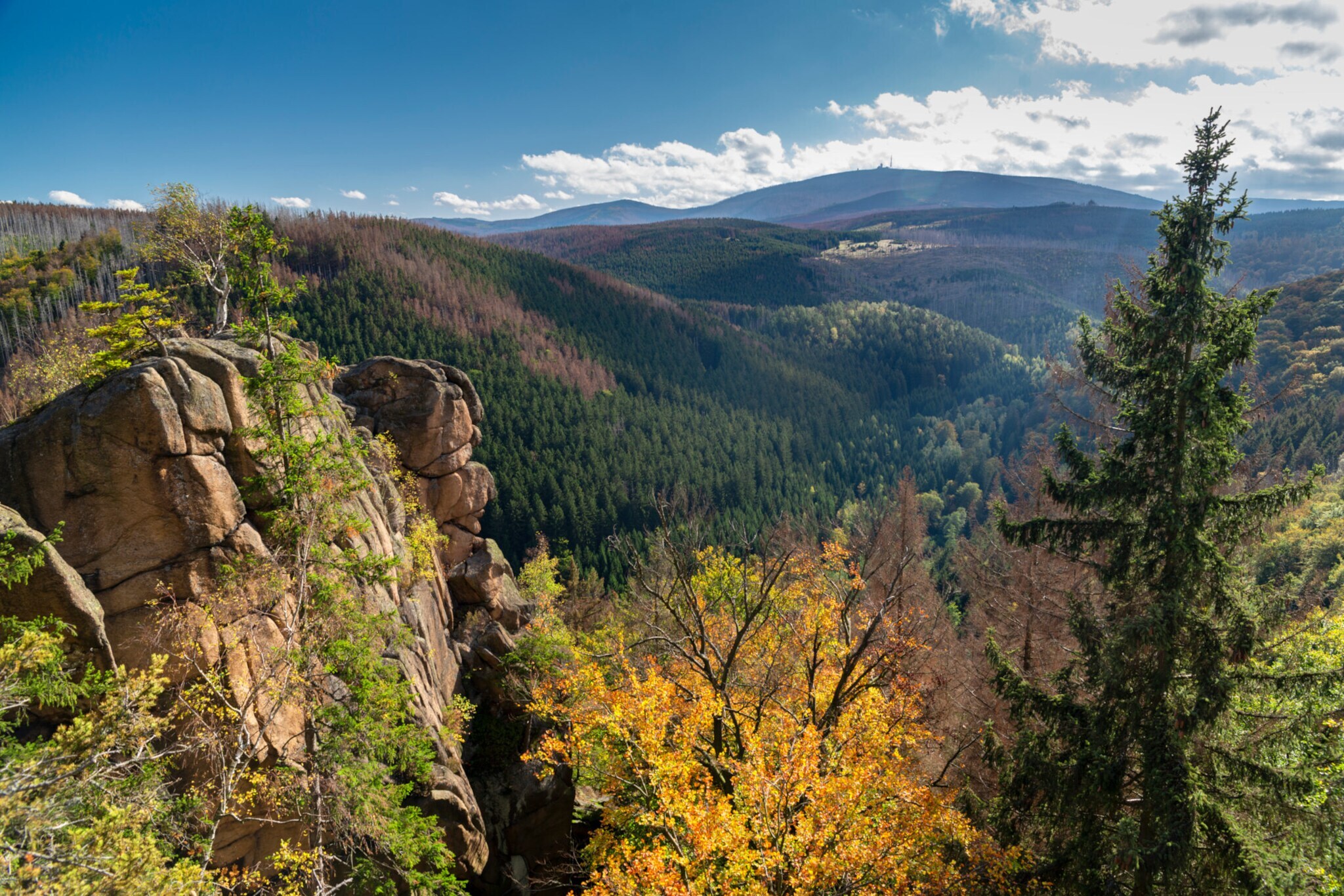Wilde Landschaft im Harz.