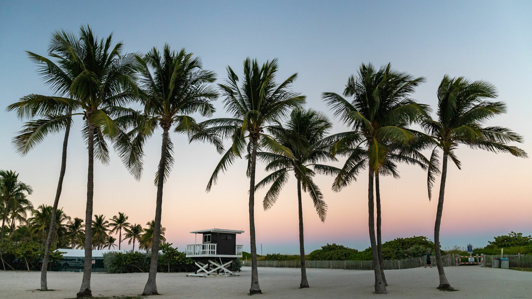 Ausschnitt des Miami South Beach bei Sonnenuntergang, mit Palmen und Lifeguard-Häuschen. Ausschnitt des Miami South Beach bei Sonnenuntergang, mit Palmen und Lifeguard-Häuschen.