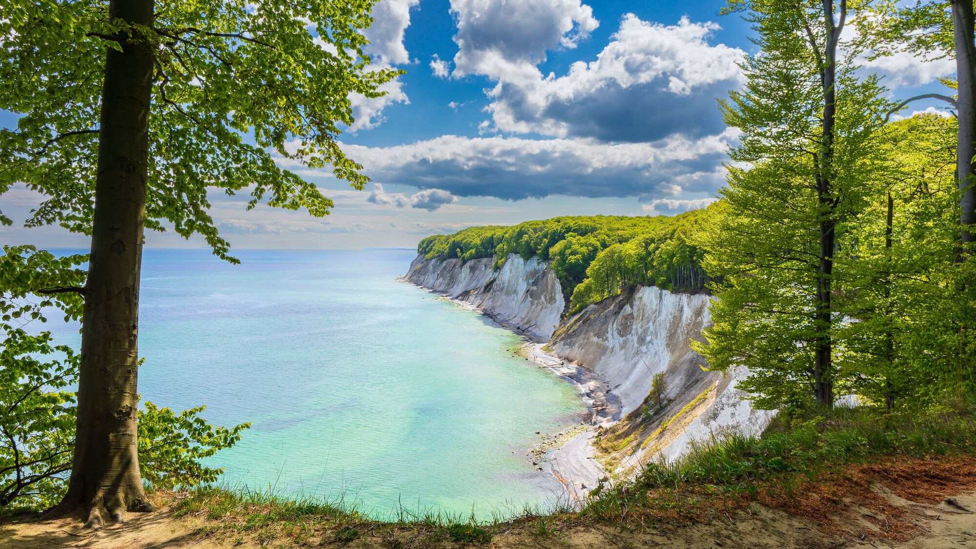 Kreidefelsen an der Ostseeküste mit grünem Wald und blauem Himmel mit Wolken. Kreidefelsen an der Ostseeküste mit grünem Wald und blauem Himmel mit Wolken.