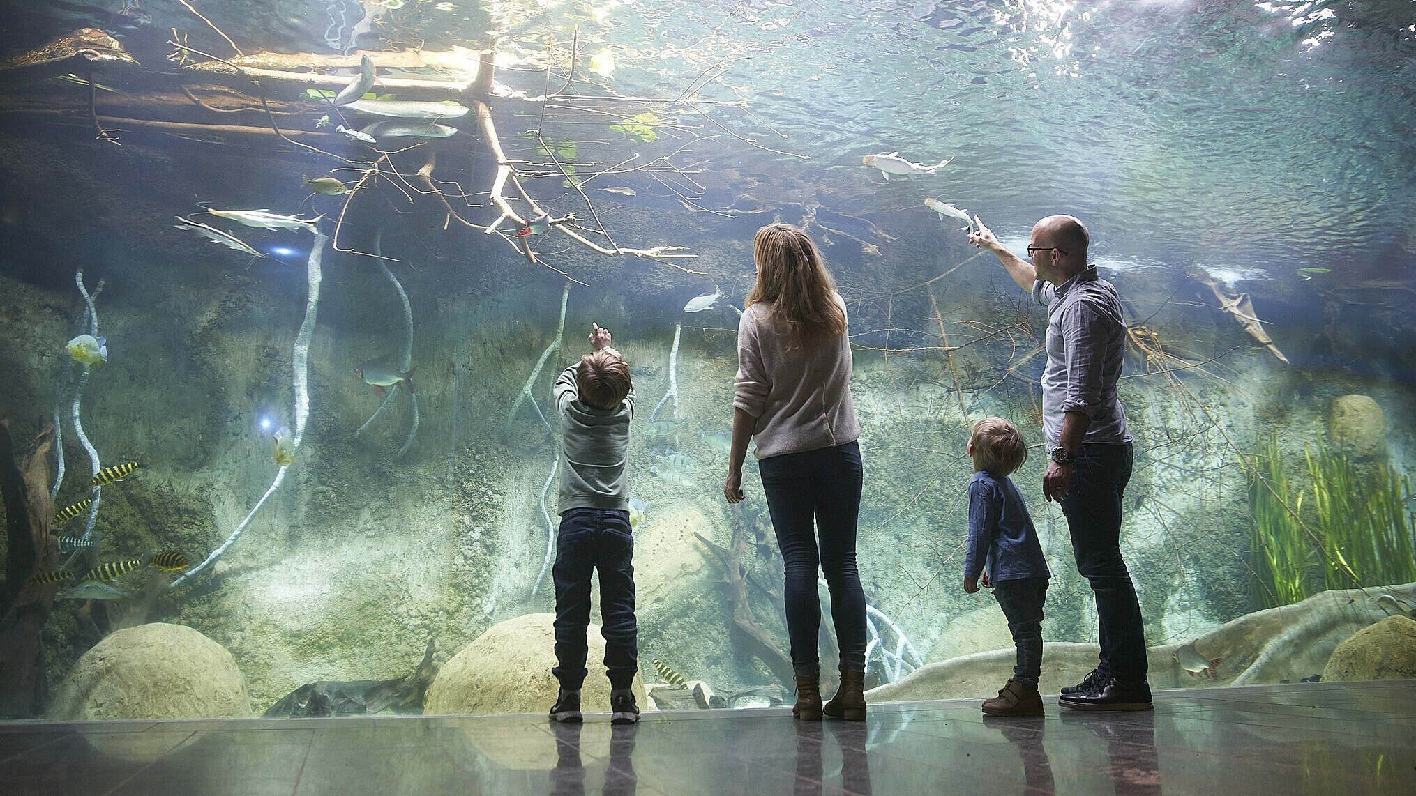 Familie mit zwei Kindern steht vor einer großen Panoramascheibe im Zoo Leipzig und beobachtet Fische und Haie im Aquarium