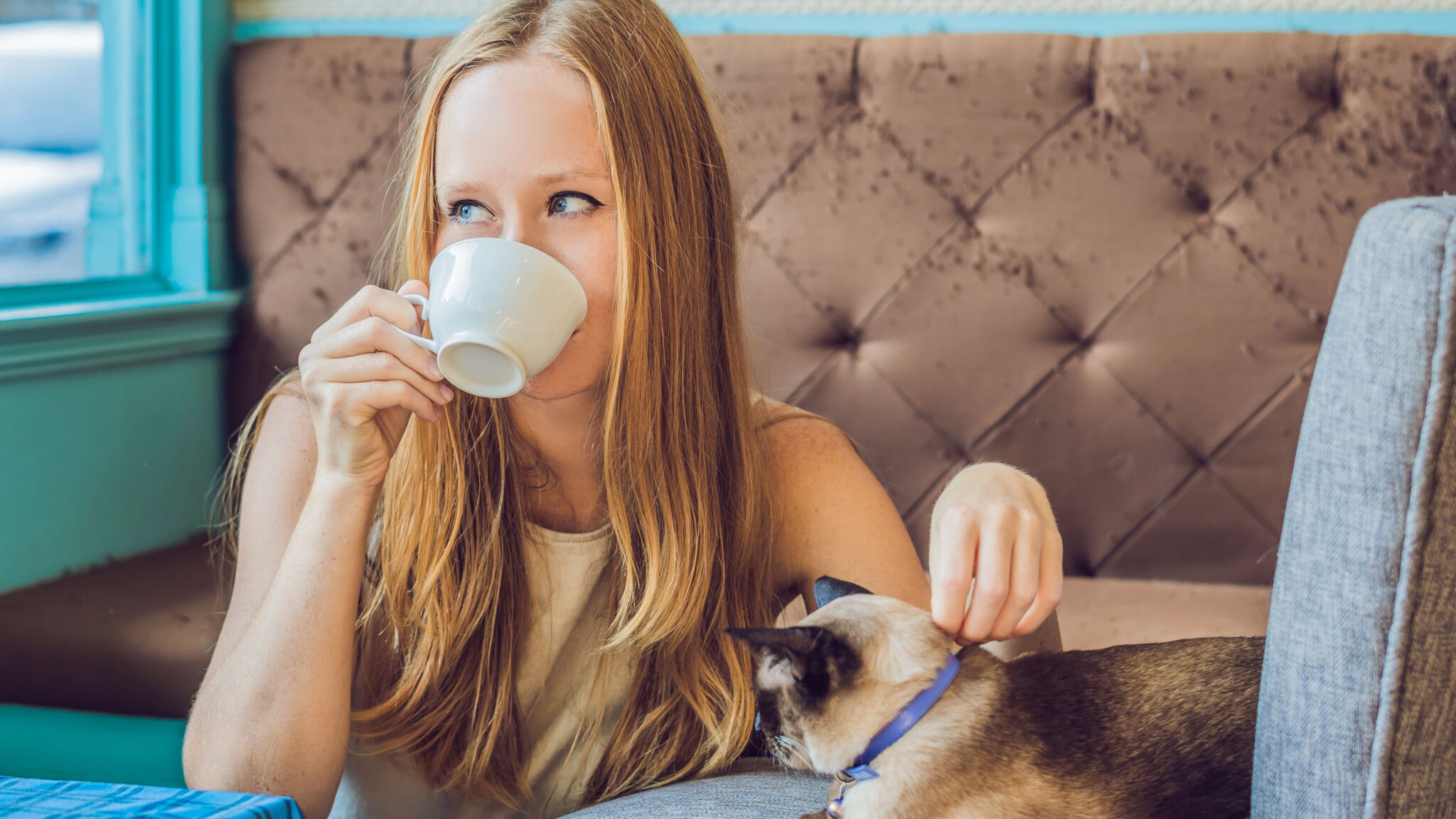 Frau sitzt auf niedrigen Sofa im Café und trinkt aus einer weißen Tasse, neben ihr liegt eine Siamkatze mit blauem Halsband