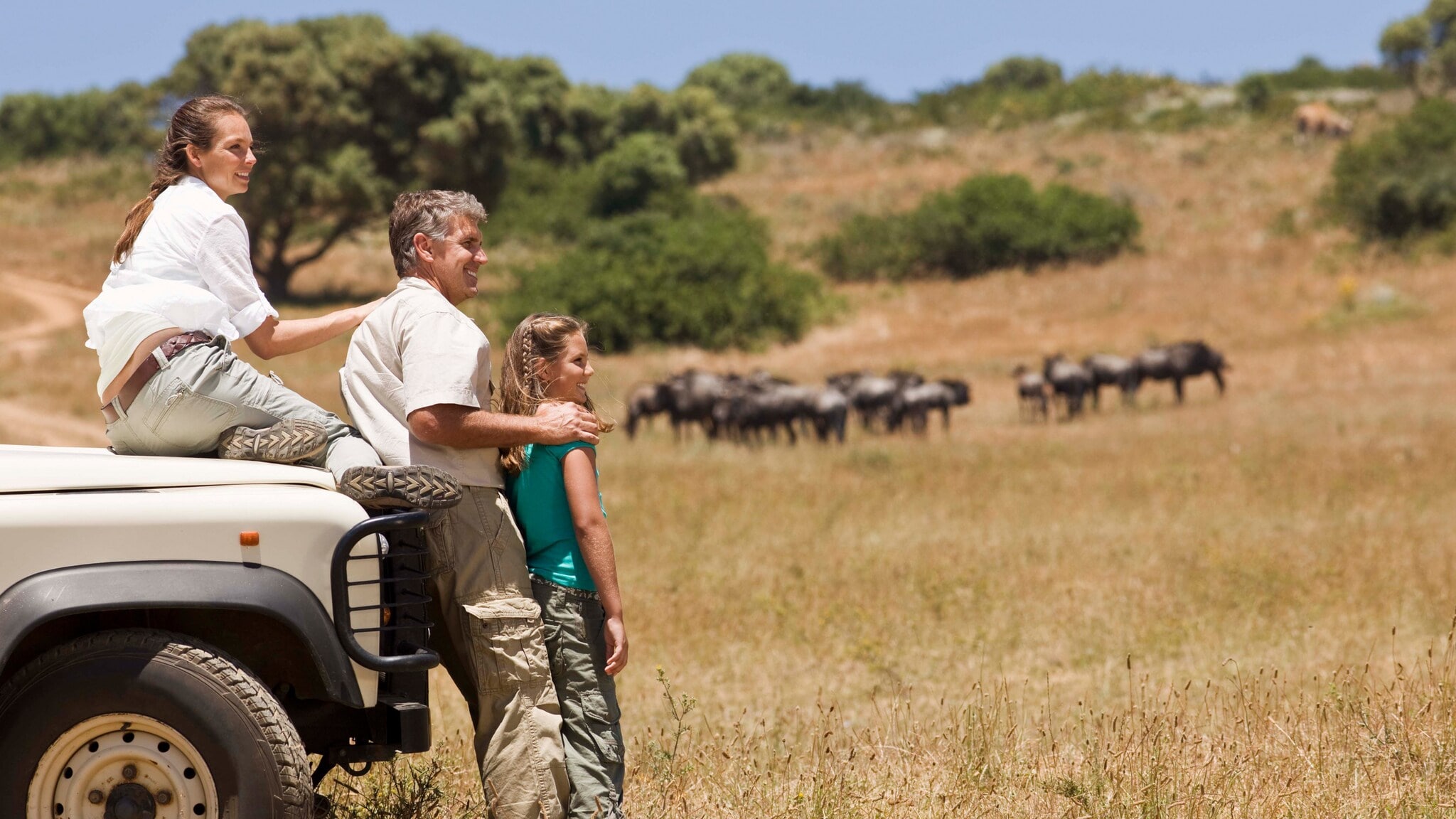 Ein Mann, eine Frau und ein Kind in der Savanne an einem Jeep in der Nähe einer Herde Gnus. Ein Mann, eine Frau und ein Kind in der Savanne an einem Jeep in der Nähe einer Herde Gnus.