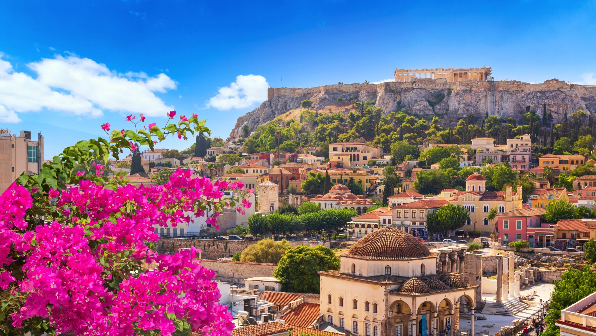 Blick auf die Akropolis von Athen mit blühendem Bougainvillea im Vordergrund und historischen Gebäuden darunter