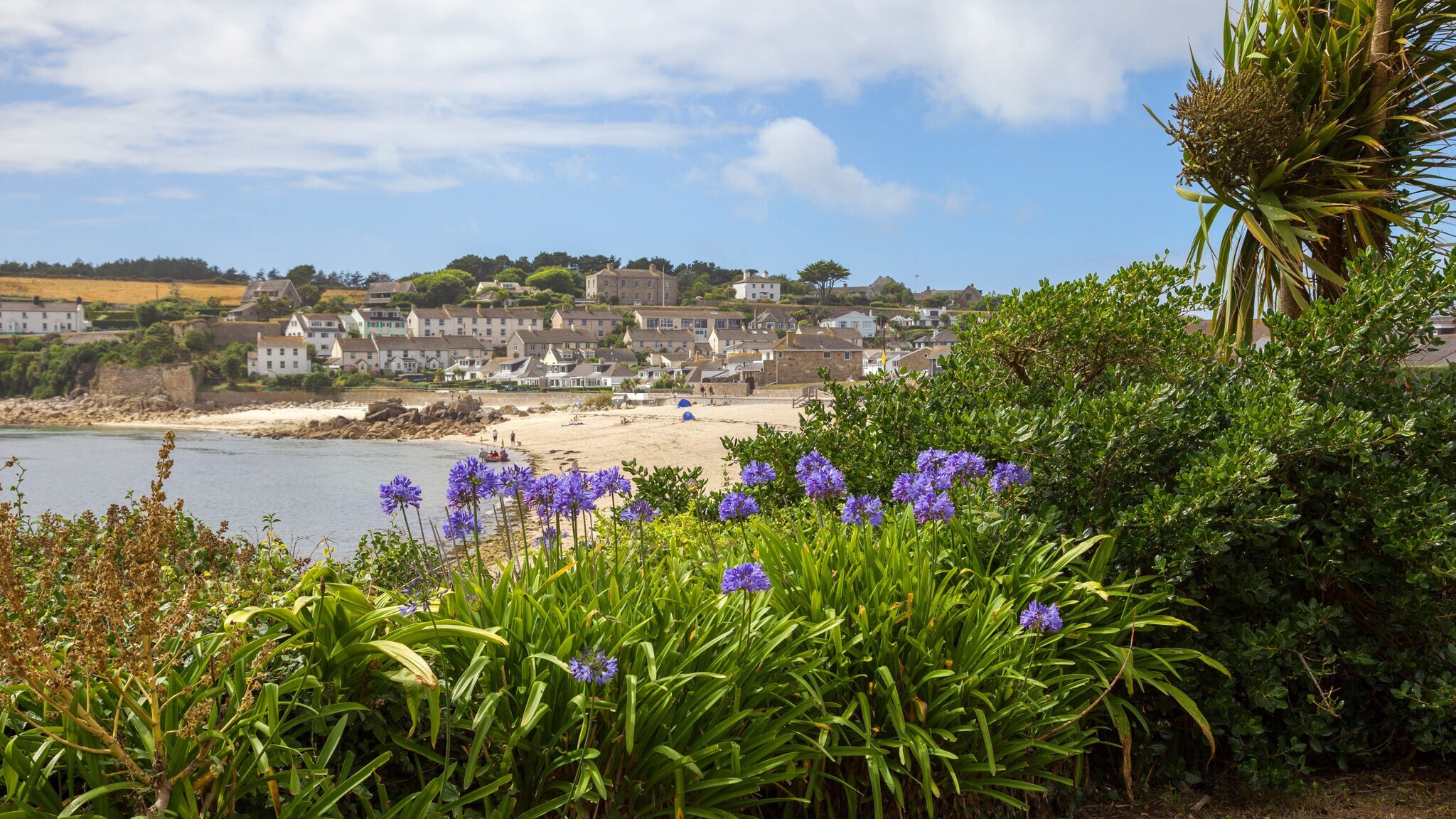 Blick auf einen Sandstrand mit Menschen und einem Dorf im Hintergrund, davor blühende lila Blumen und grüne Büsche Blick auf einen Sandstrand mit Menschen und einem Dorf im Hintergrund, davor blühende lila Blumen und grüne Büsche