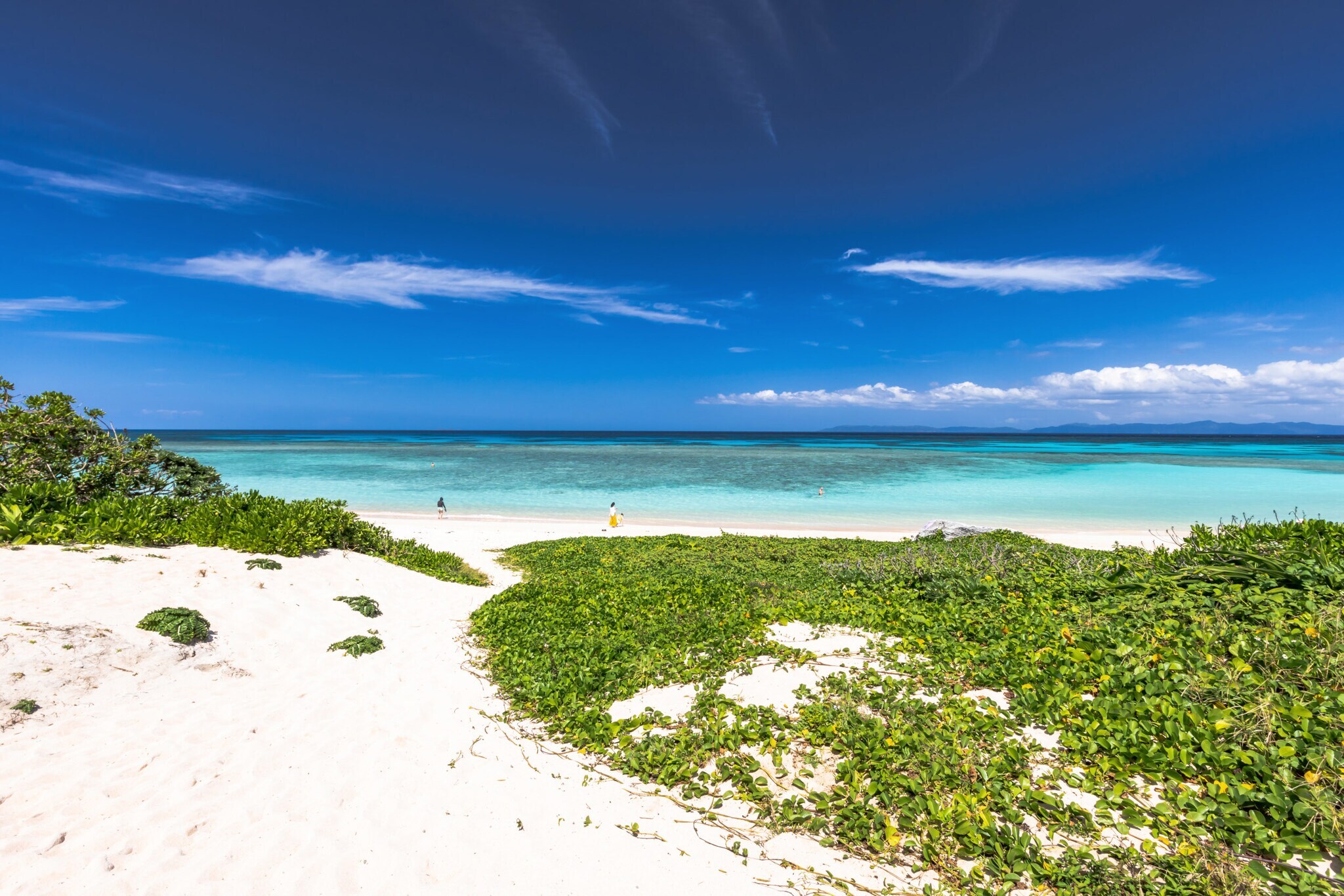 Weitläufiger weißer Sandstrand mit grünen Pflanzen am türkisfarbenen Meer unter blauem Himmel.