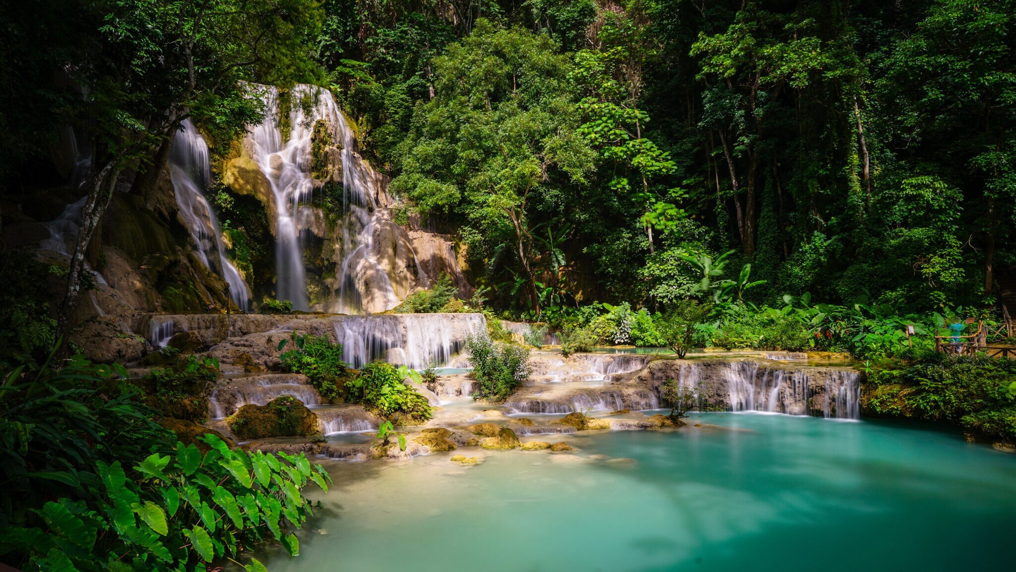 Mehrstufiger Wasserfall fließt in einen türkisfarbenen natürlichen Pool, umgeben von dichtem grünen Wald