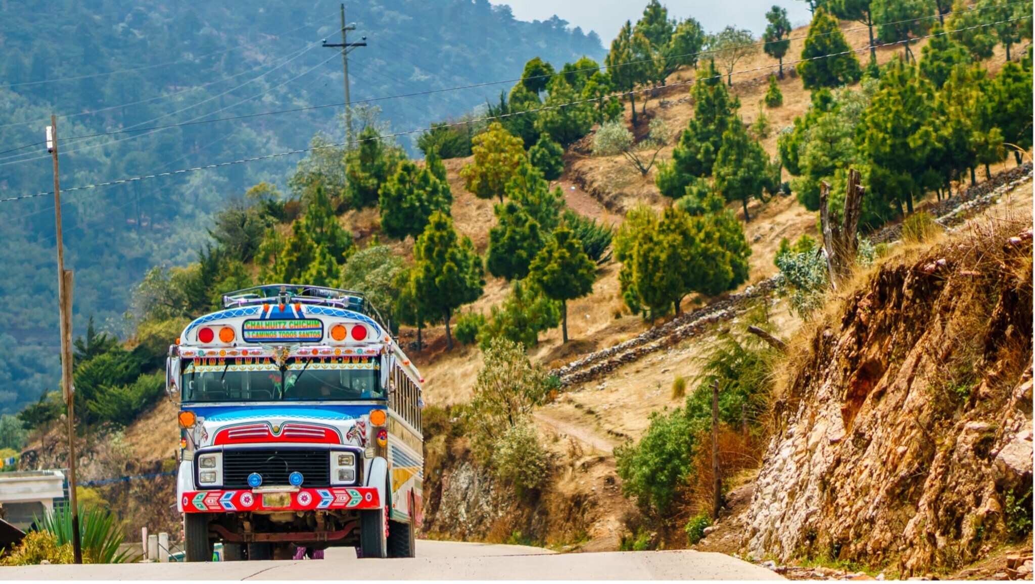 Bunter Bus fährt auf einer Bergstraße mit Nadelbäumen und Hügeln im Hintergrund