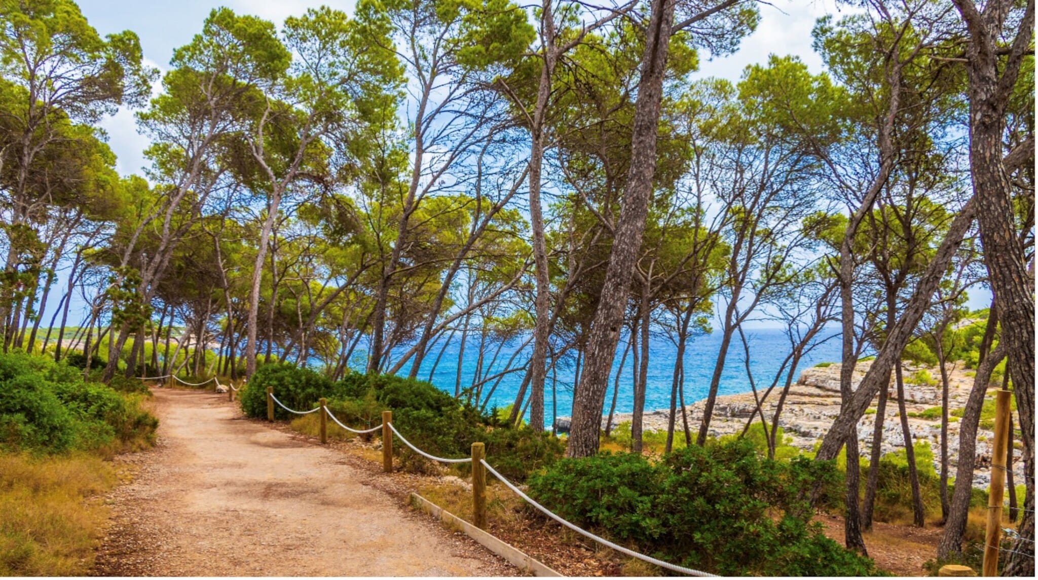 Wanderweg durch Kiefernwald mit Blick auf das blaue Meer an der Küste. Wanderweg durch Kiefernwald mit Blick auf das blaue Meer an der Küste.