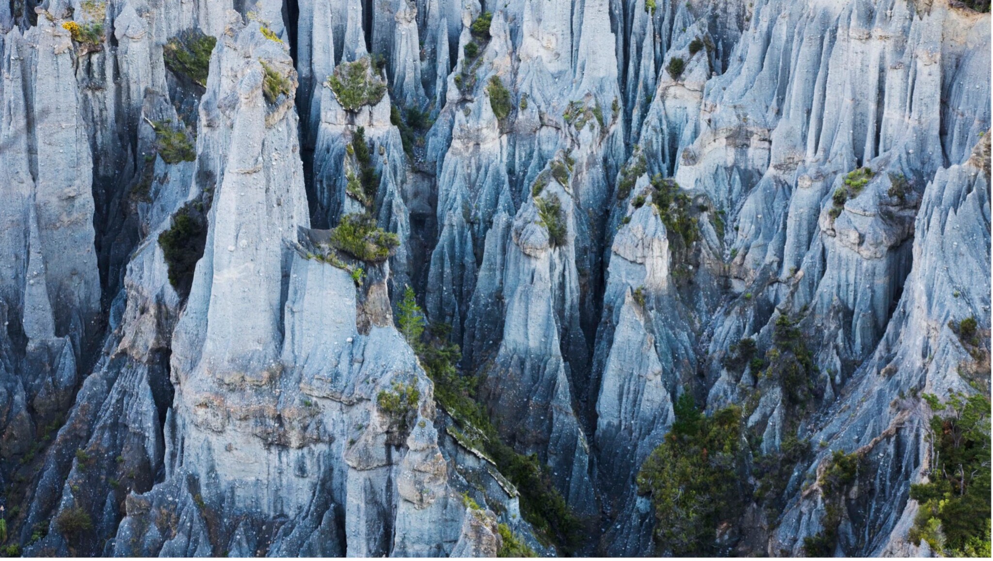 Felsformationen mit schmalen, spitzen Türmen und vereinzeltem Bewuchs