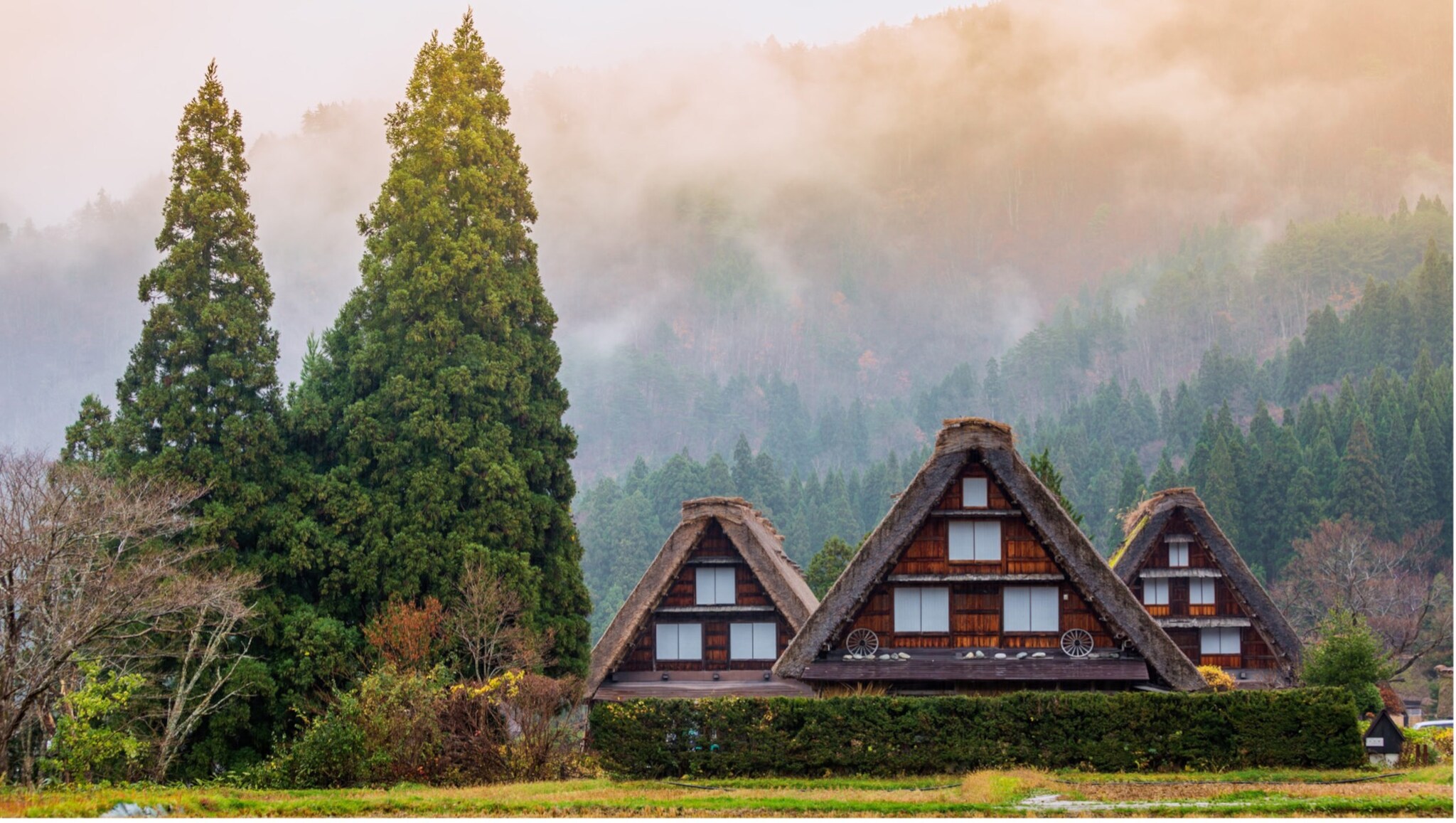 Traditionelle japanische Gassho-Zukuri Häuser mit strohgedeckten Dächern vor nebligem Wald und Bergen