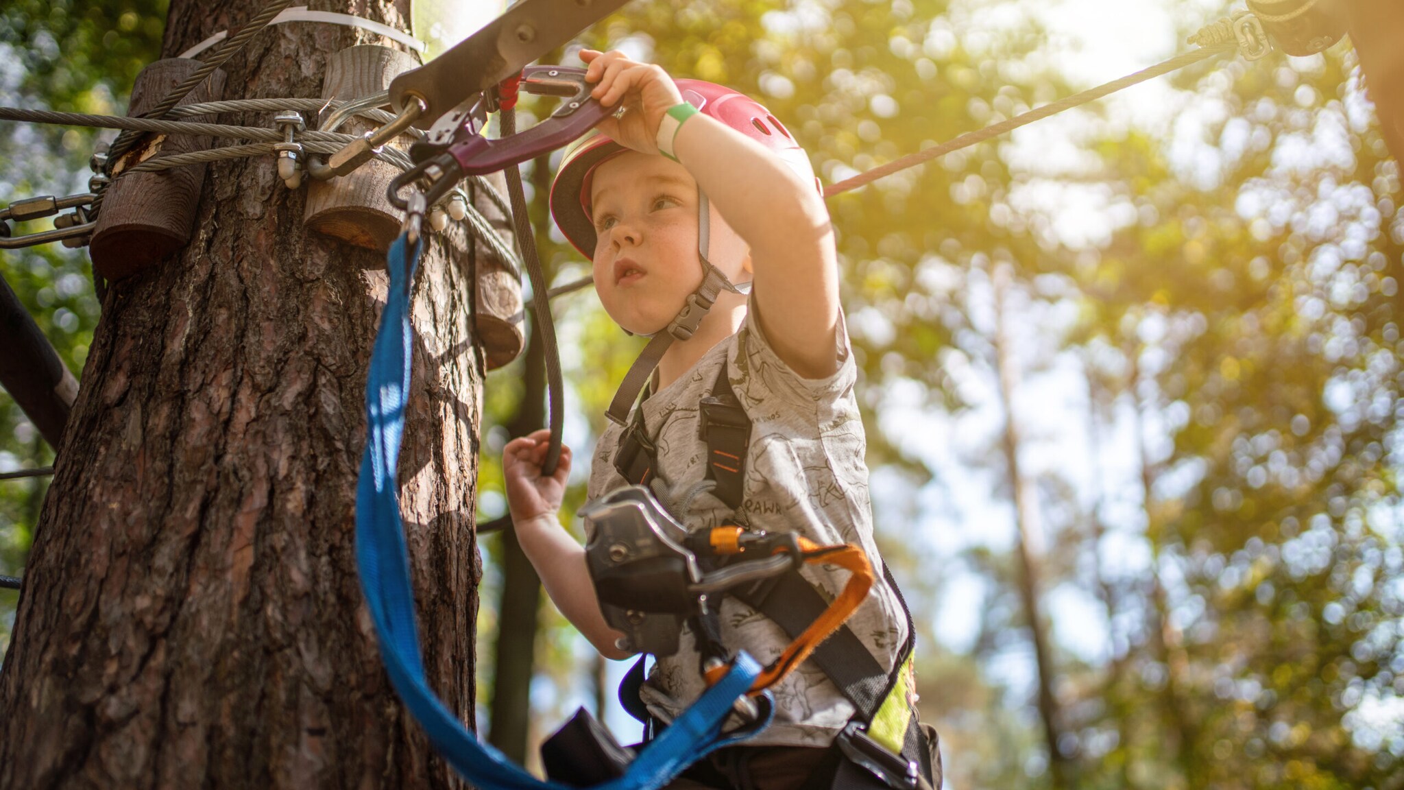 Kind mit Helm und Kletterausrüstung befestigt Sicherheitsgurt an Seil im Wald beim Klettern