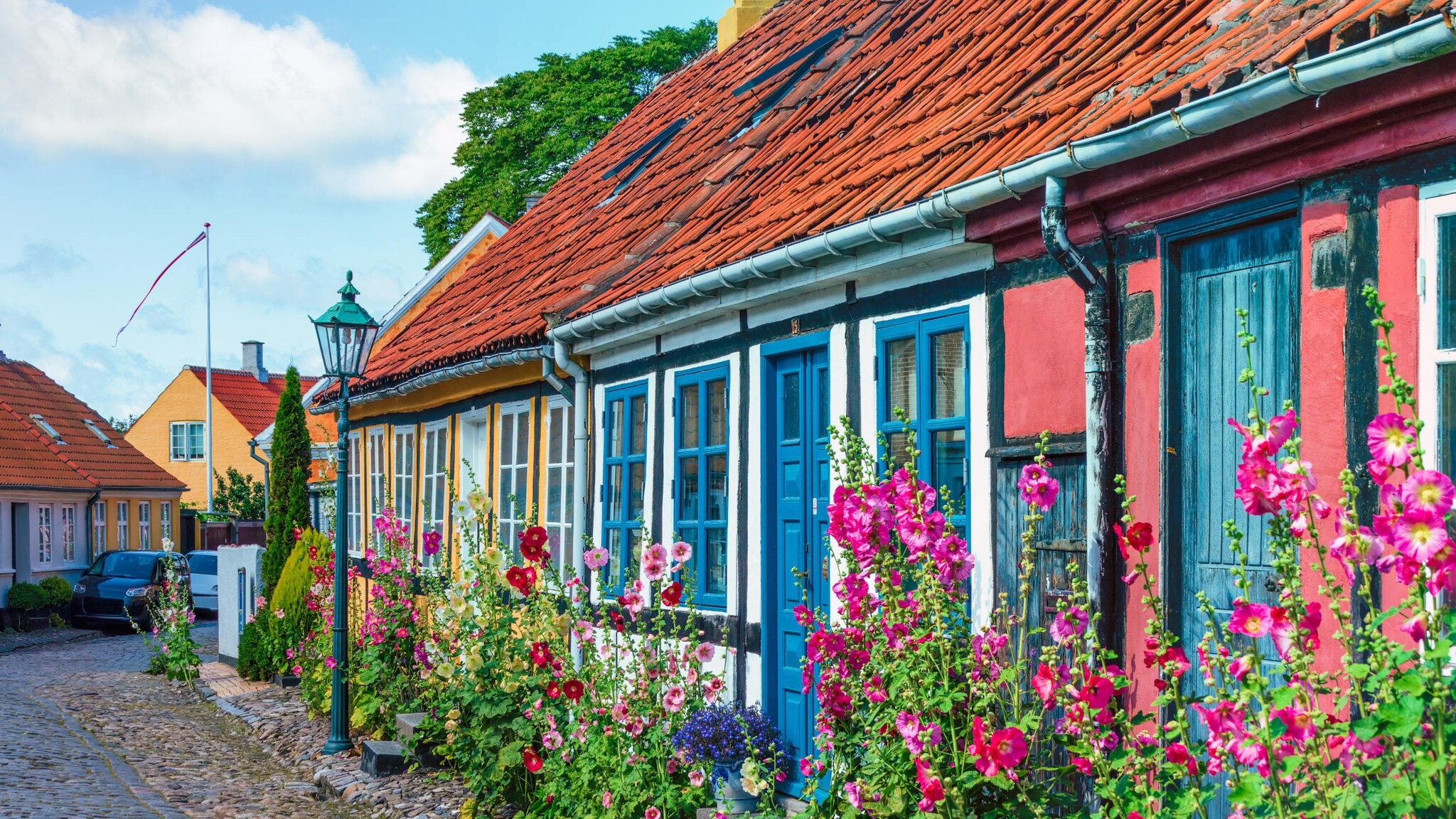 Reihe bunter, historischer Häuser mit blauen Türen und blühenden Stockrosen an einer Kopfsteinpflasterstraße Reihe bunter, historischer Häuser mit blauen Türen und blühenden Stockrosen an einer Kopfsteinpflasterstraße